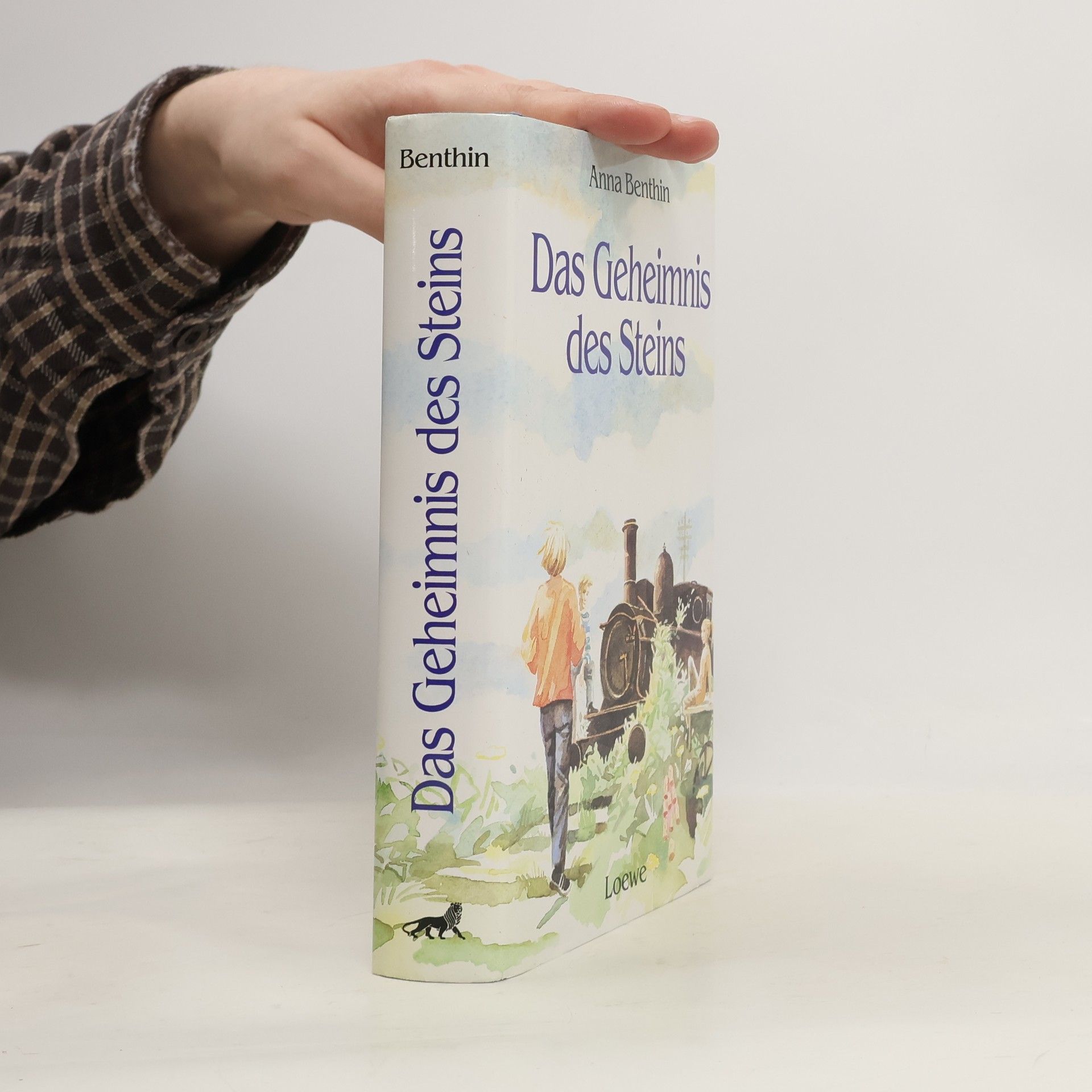 Karin Voss Das Geheimnis des Steins