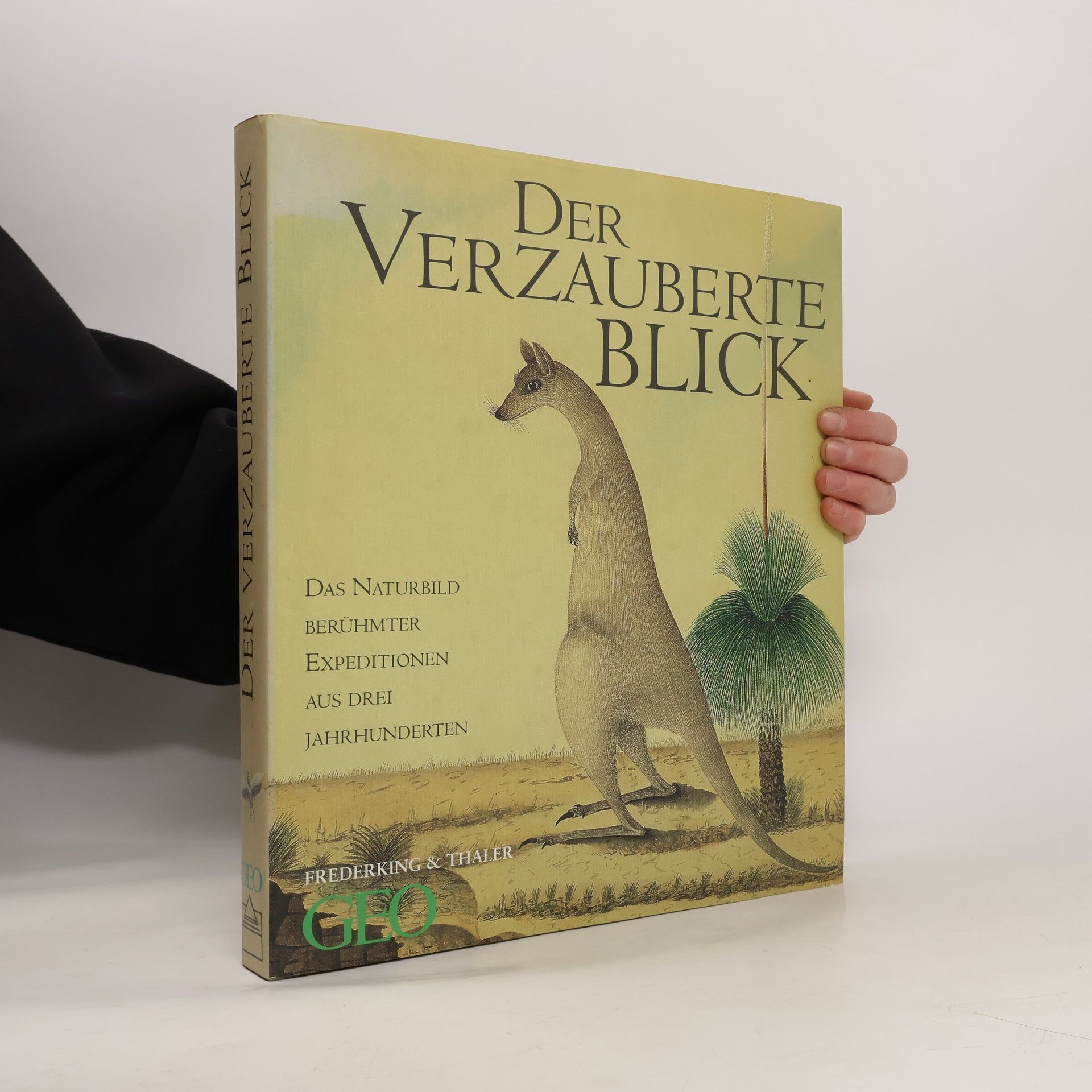 Anthony Price Der Verzauberte Blick