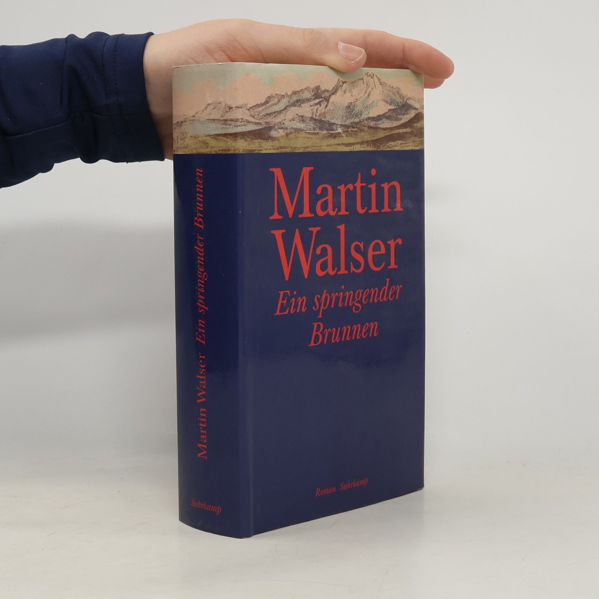 Martin Walser Ein springender Brunnen