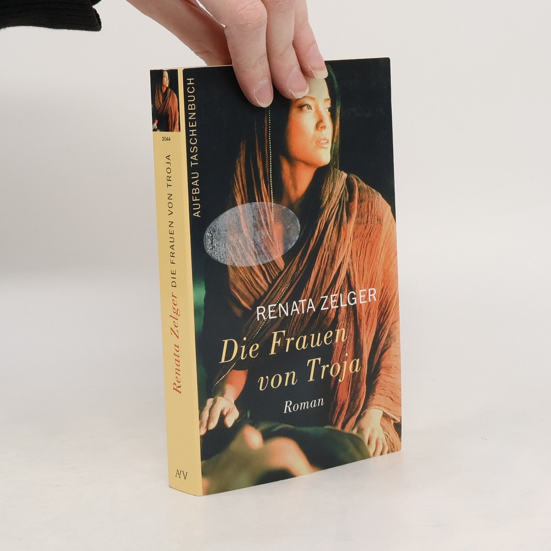 Renata Zelger Die Frauen von Troja