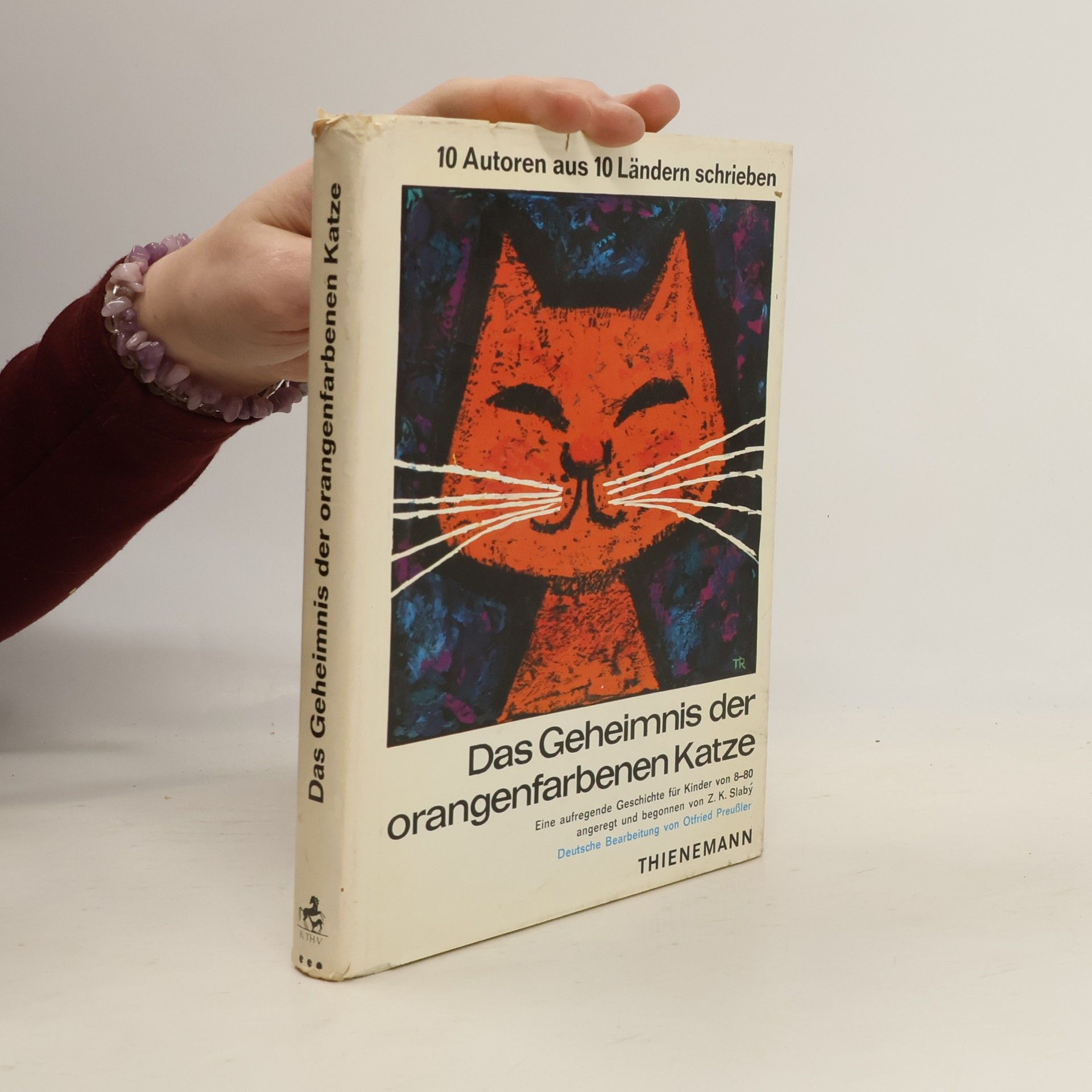 Kolektiv autorů Das Geheimnis der orangefarbenen Katze