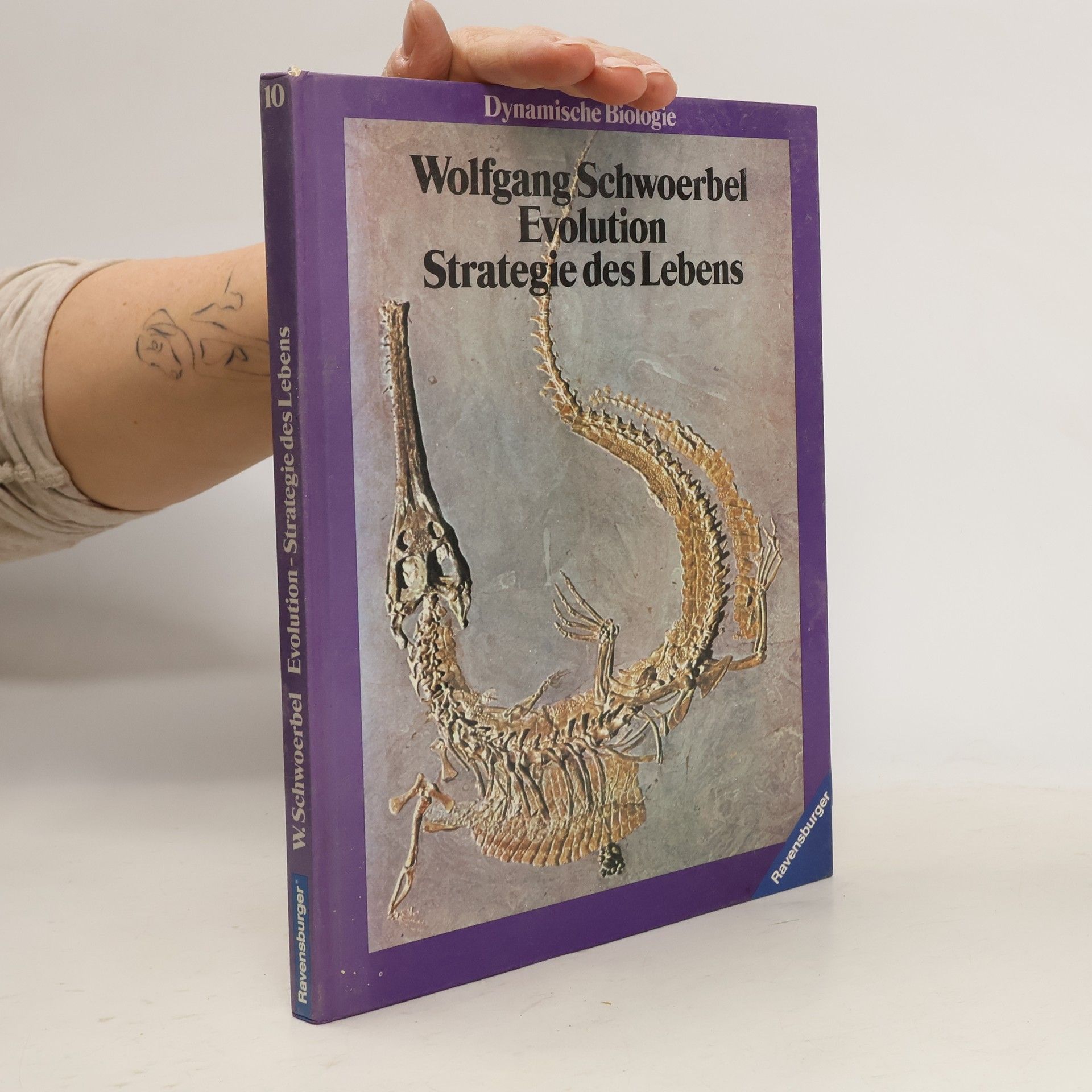 Dynamische Biologie - 10: Evolution, Strategie des Lebens