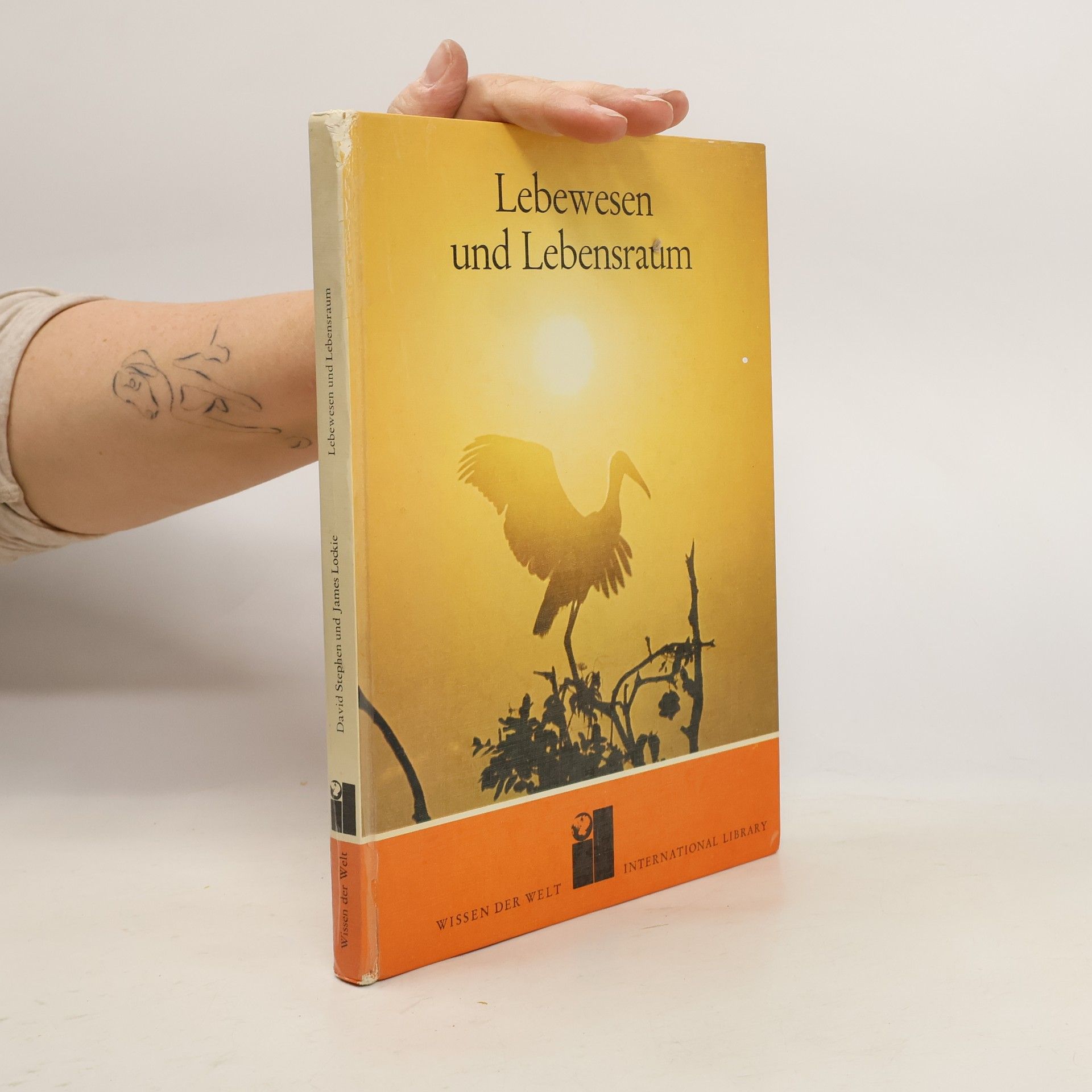 David Stephen Lebewesen und Lebensraum