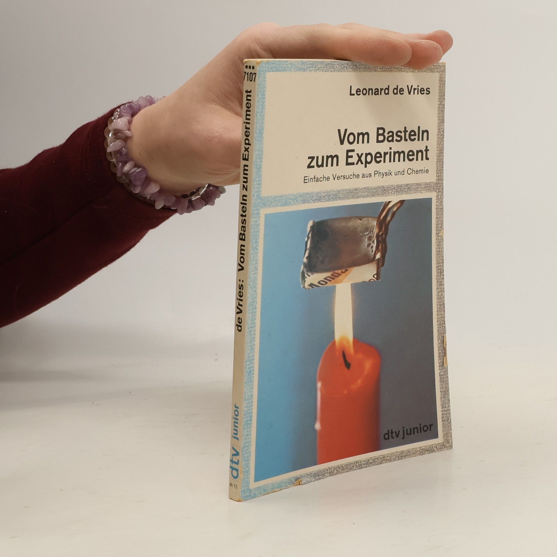 Leonard de Vries Vom Basteln zum Experiment