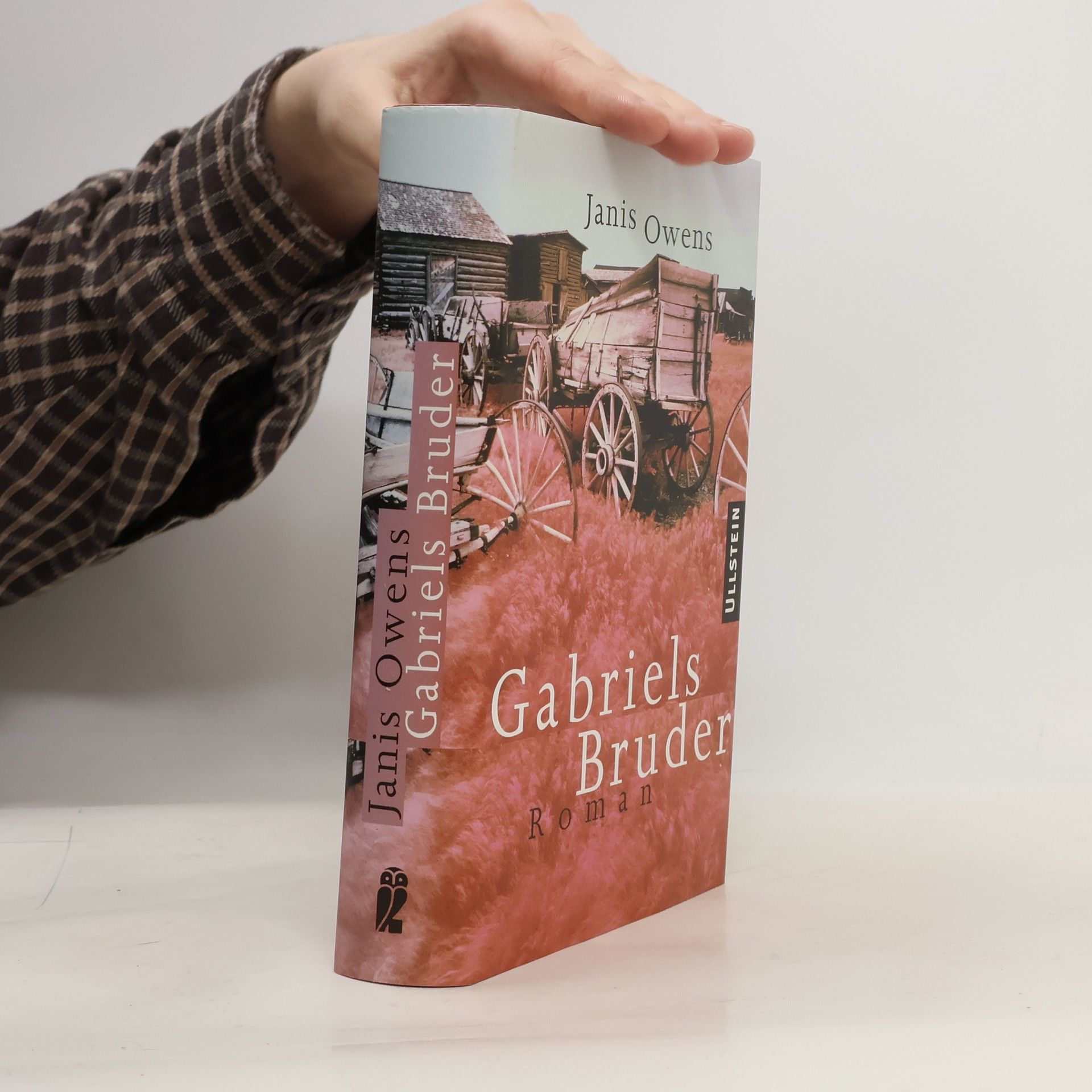 Janis Owens Gabriels Bruder