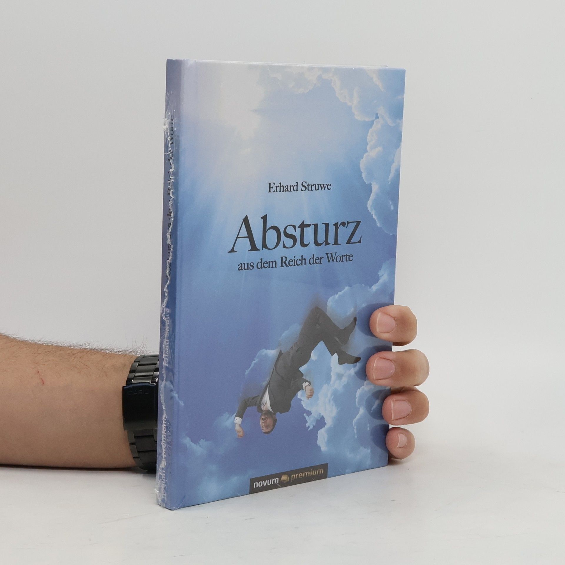 Erhard Struwe Absturz aus dem Reich der Worte