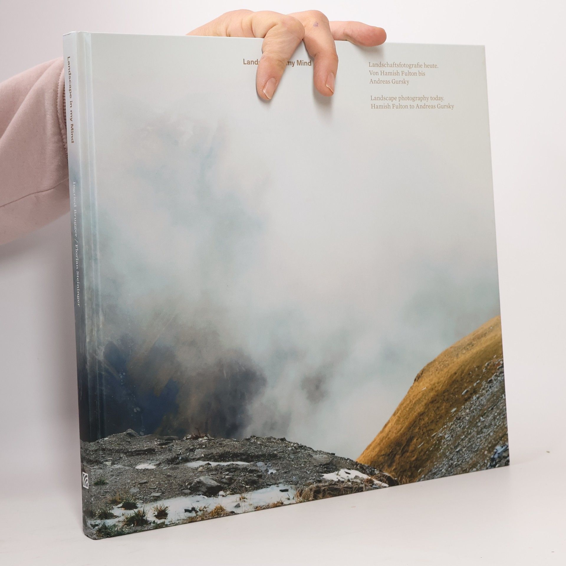 Ingried Brugger Landscape In My Mind