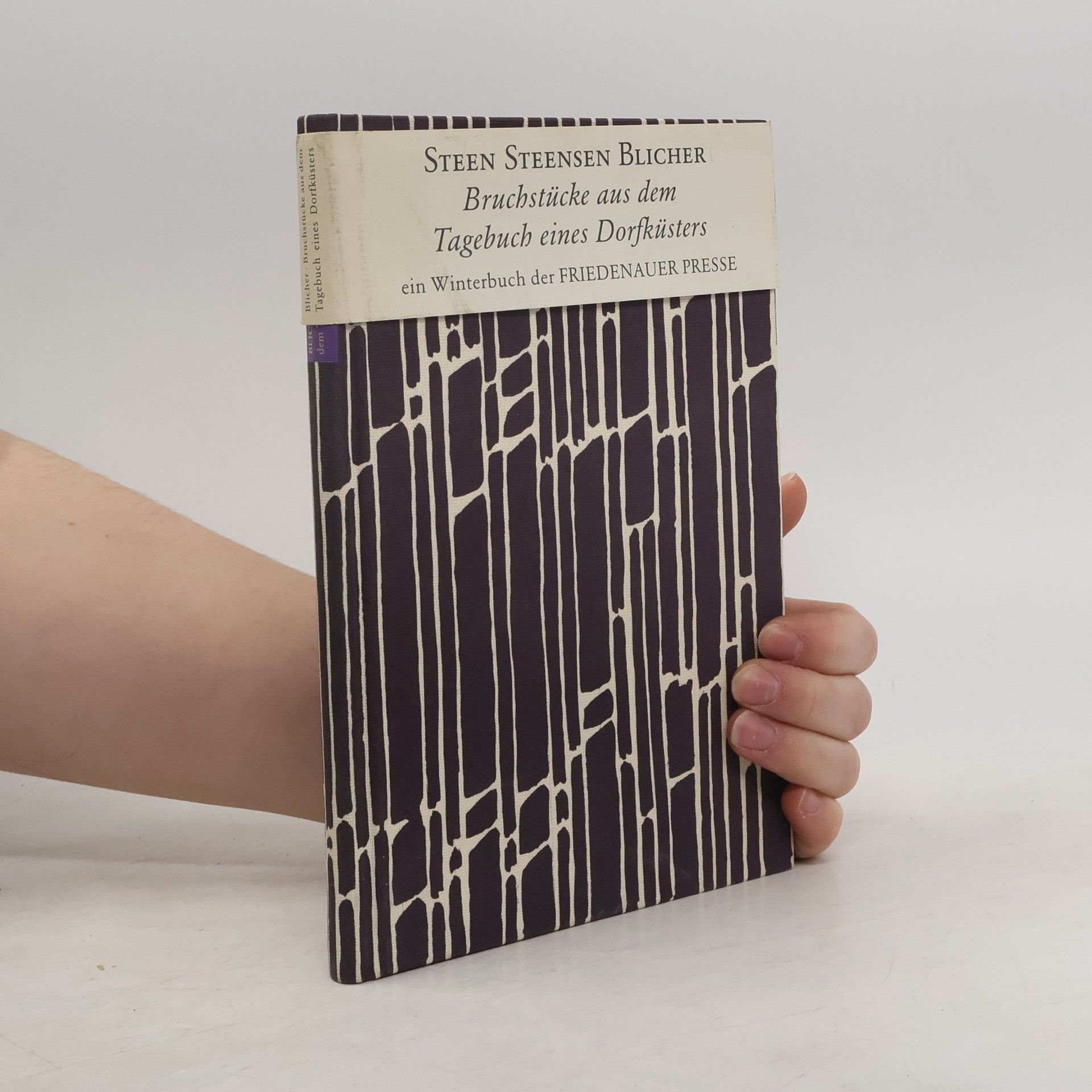 Steen Steensen Blicher Bruchstücke aus dem Tagebuch eines Dorfküsters