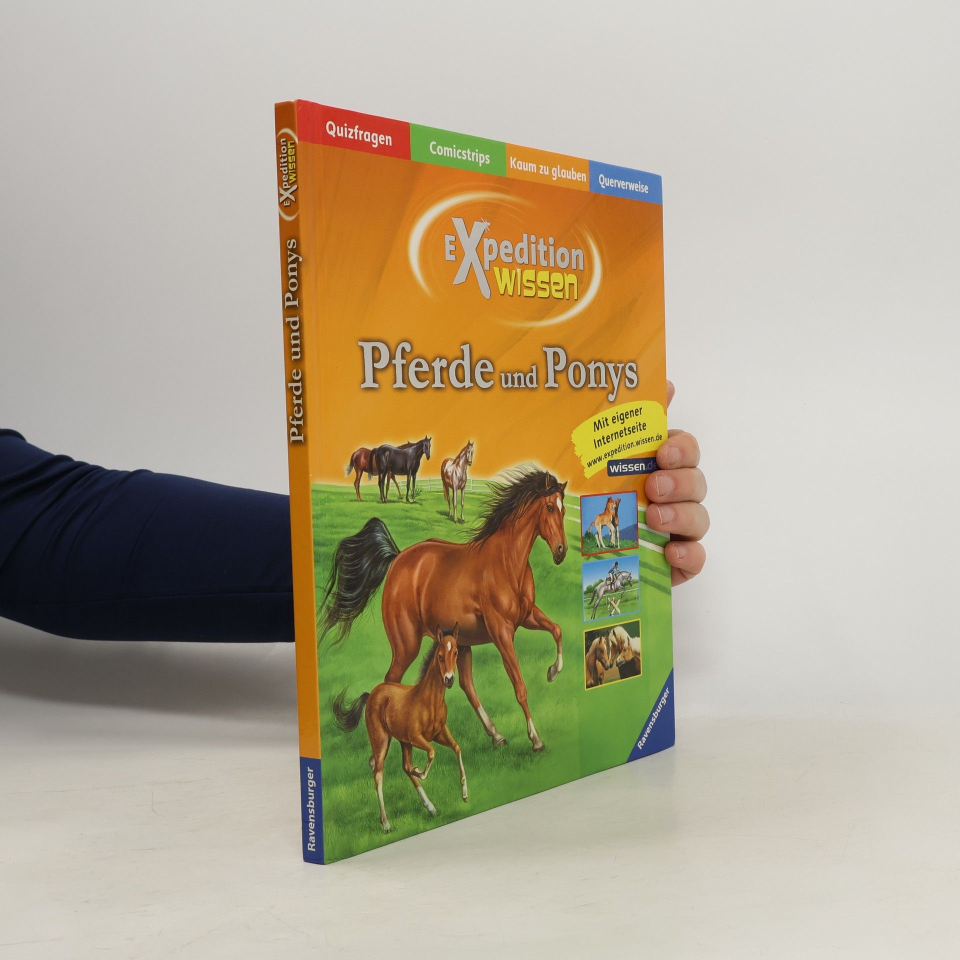 Elisabetta Ferrero Pferde und Ponys