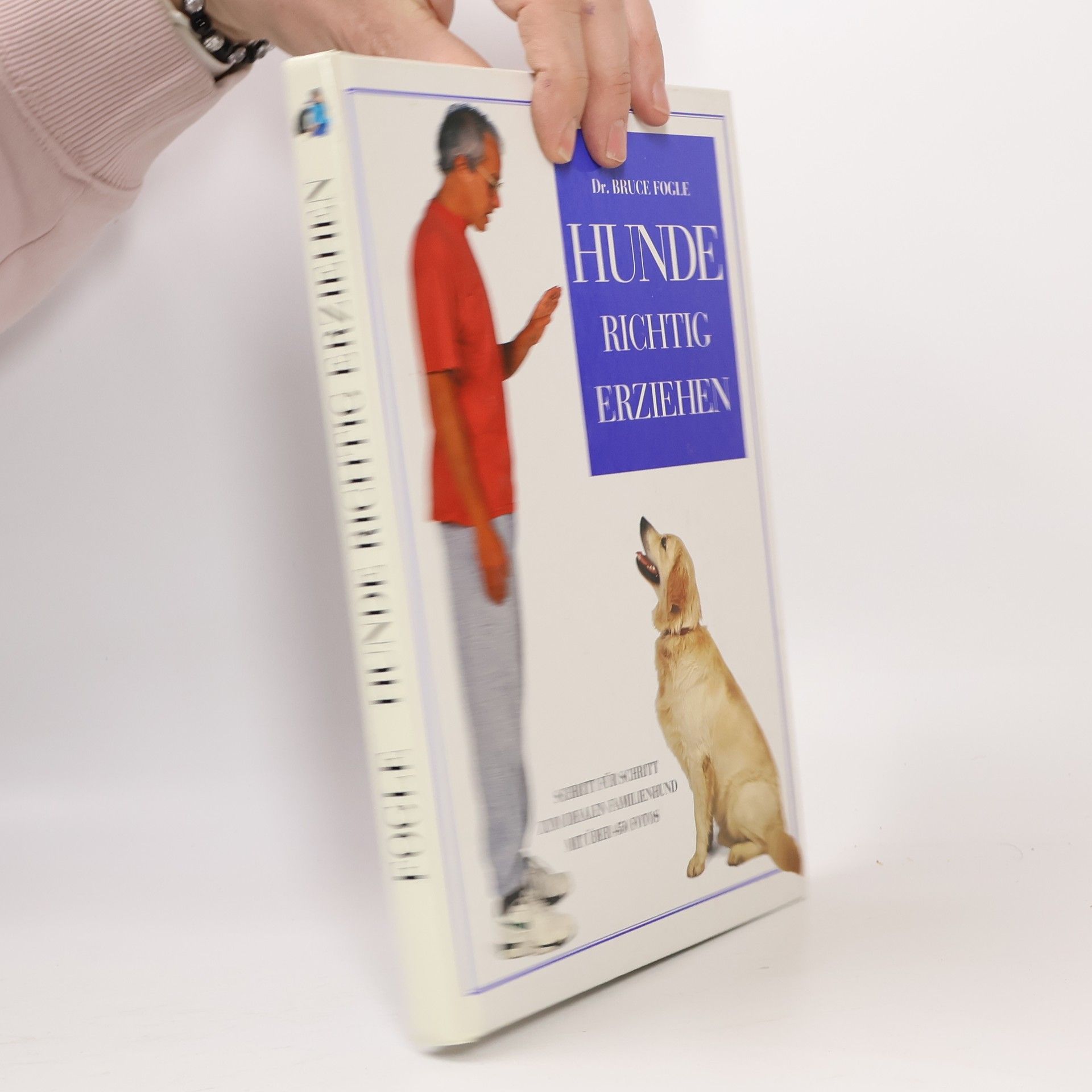 Bruce Folge Hunde Richtig Erziehen