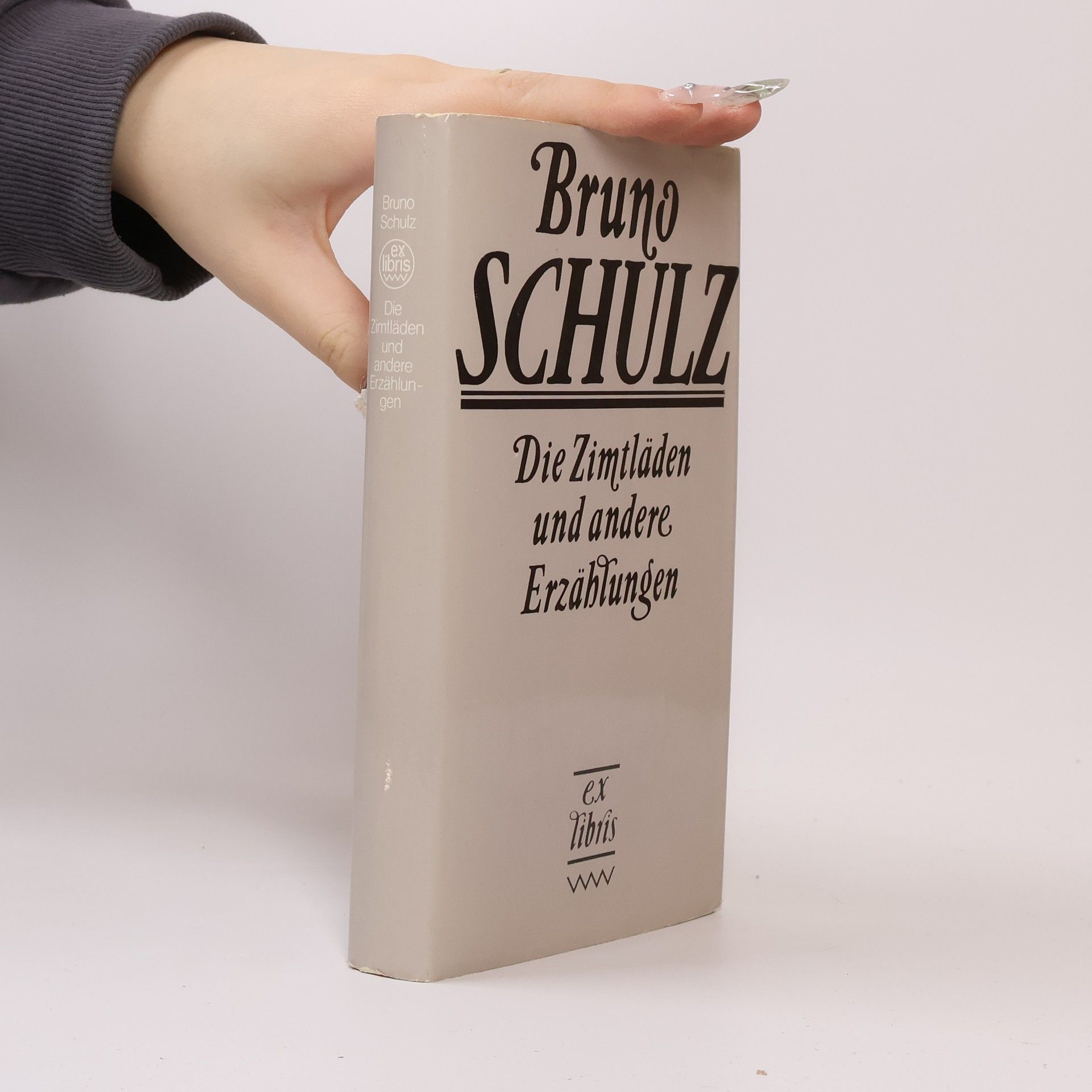 Bruno Schulz Die Zimtläden und andere Erzählungen