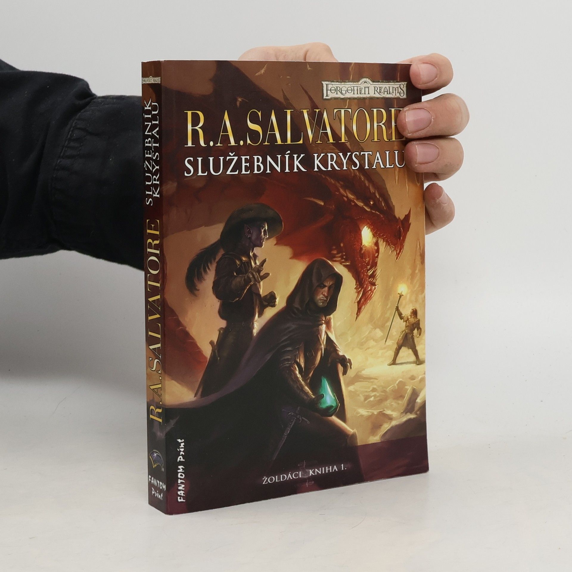 Robert Anthony Salvatore Žoldáci. Služebník krystalu. 1. díl.