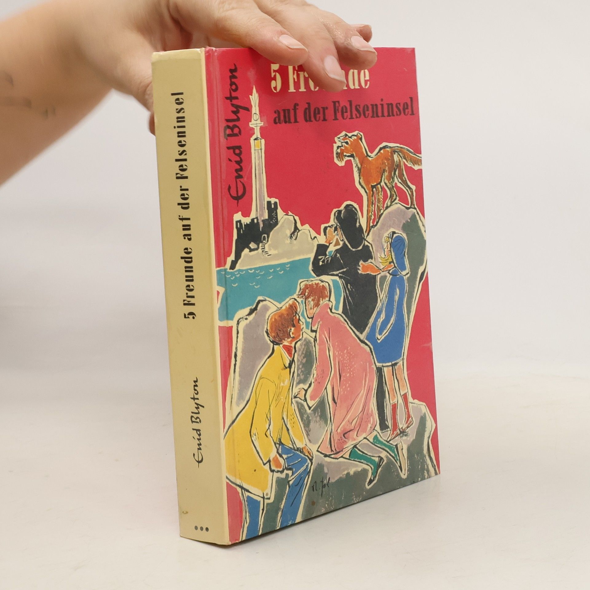 Enid Blyton 5 Freunde auf der Felseninsel