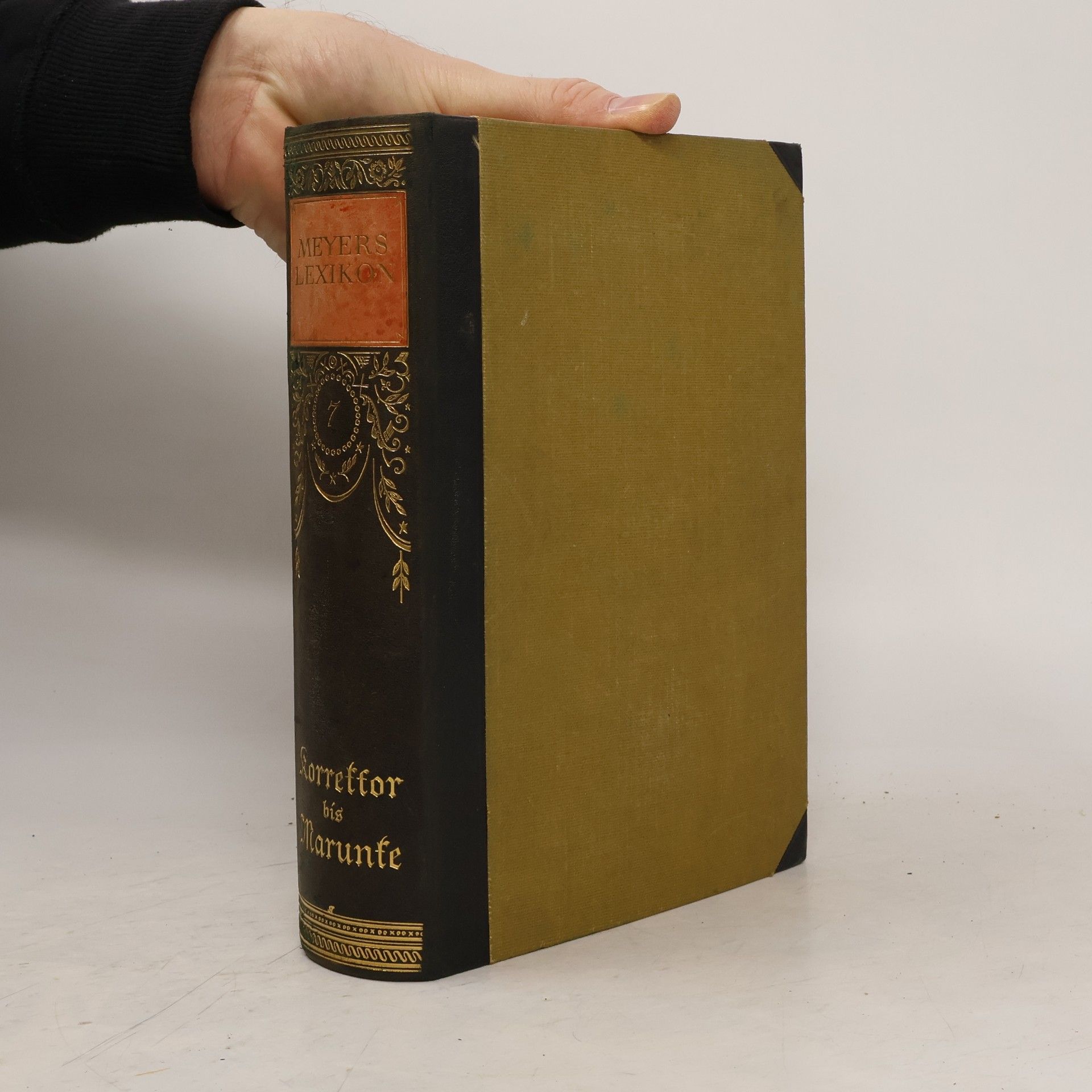 Collectif d'auteurs Meyers Lexikon 7