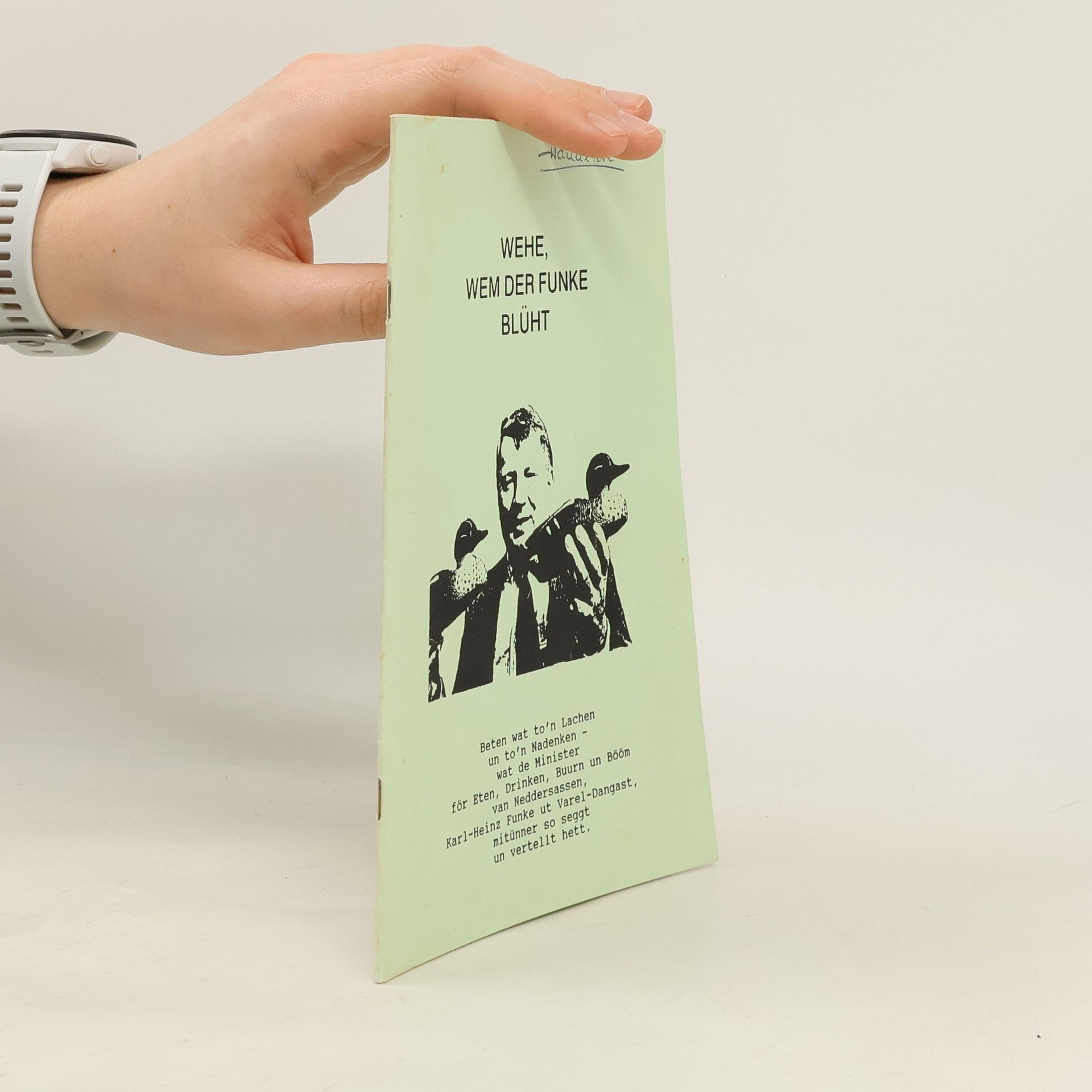 Kolektiv autorů Wehe, wem der Funke Blüth