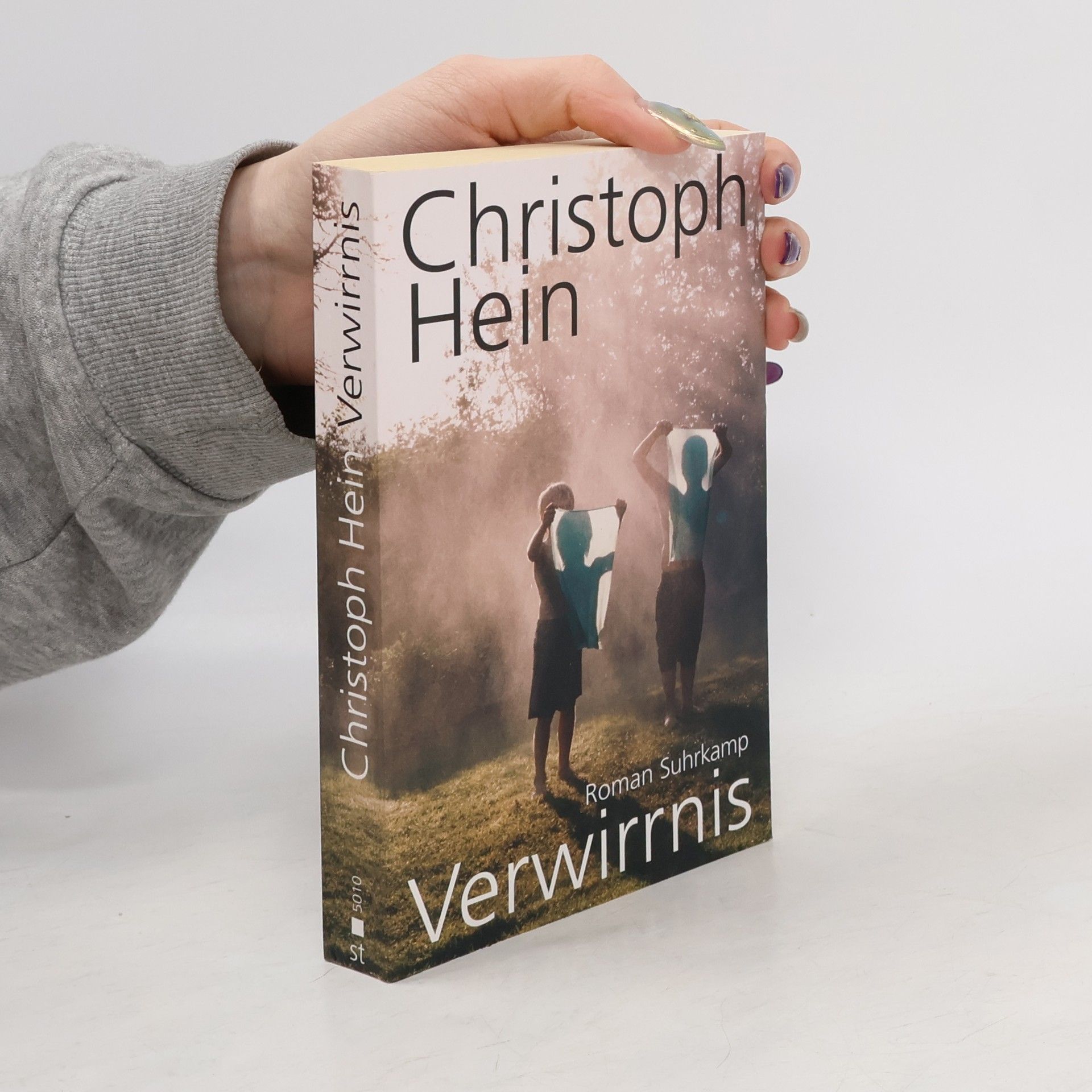 Christoph Hein Verwirrnis