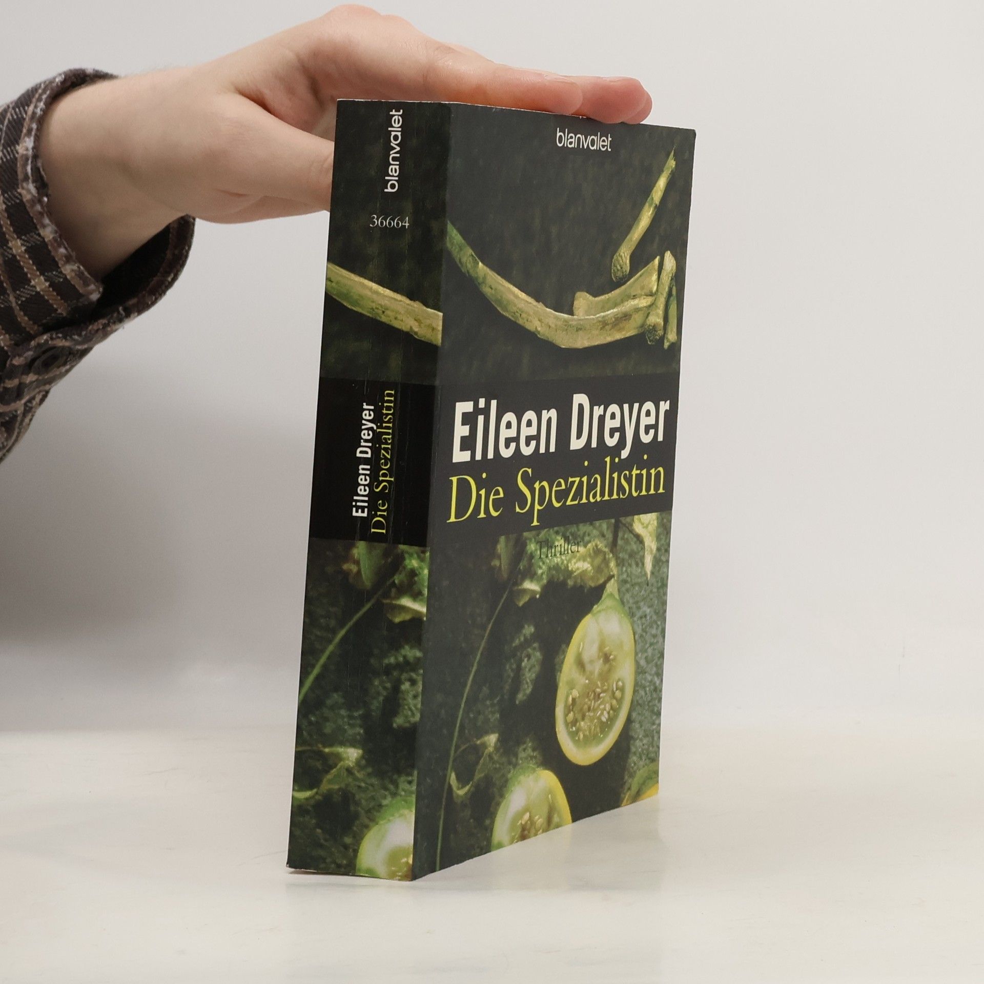 Eileen Dreyer Die Spezialistin