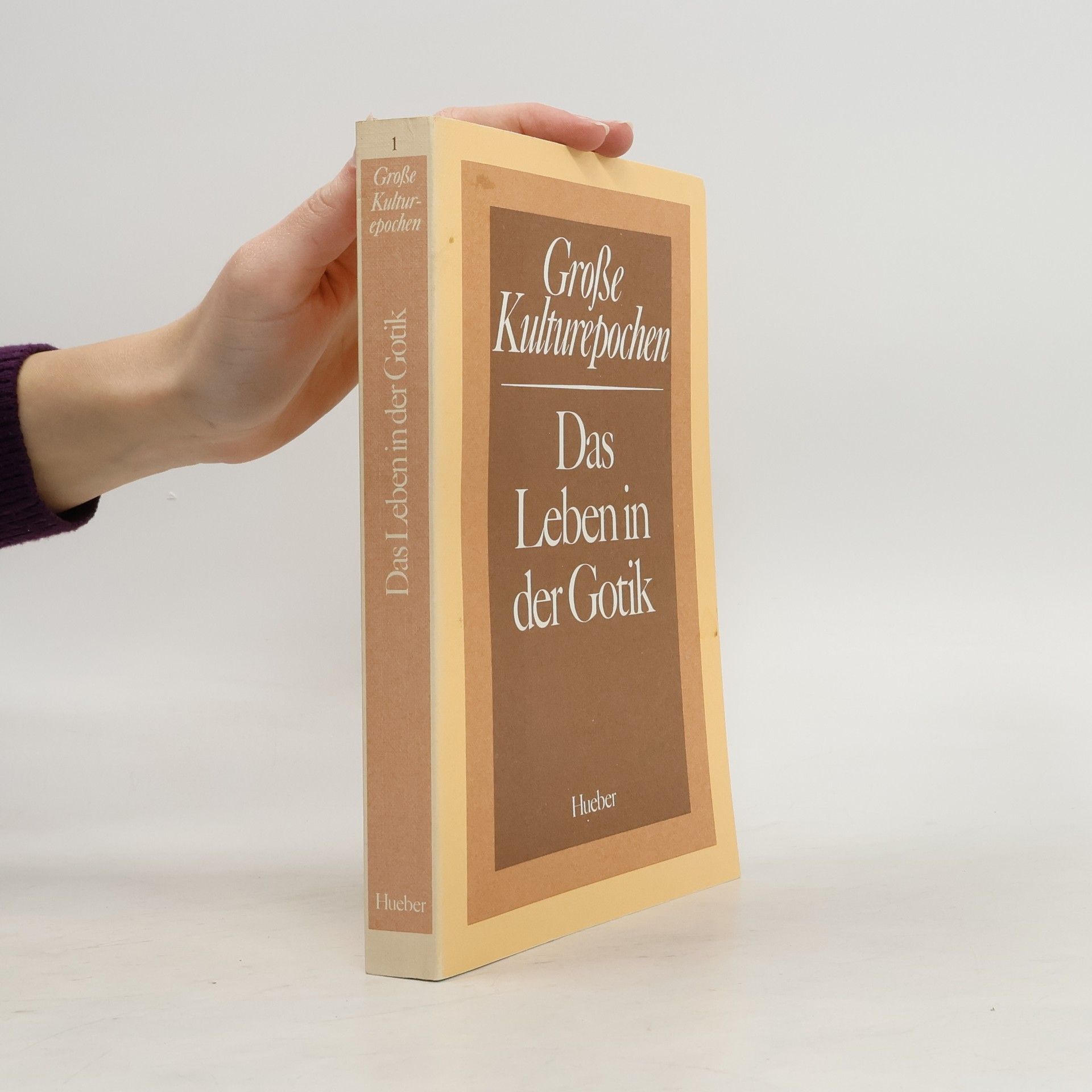 Rolf Hellmut Foerster Das Leben in der Gotik