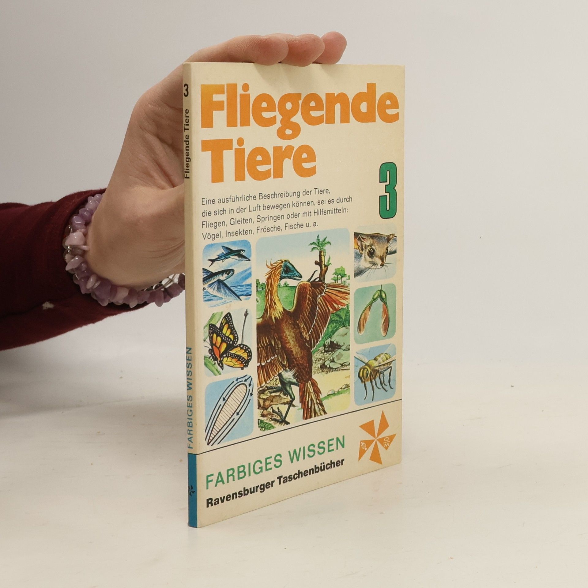 Autorenkollektiv Fliegende Tiere