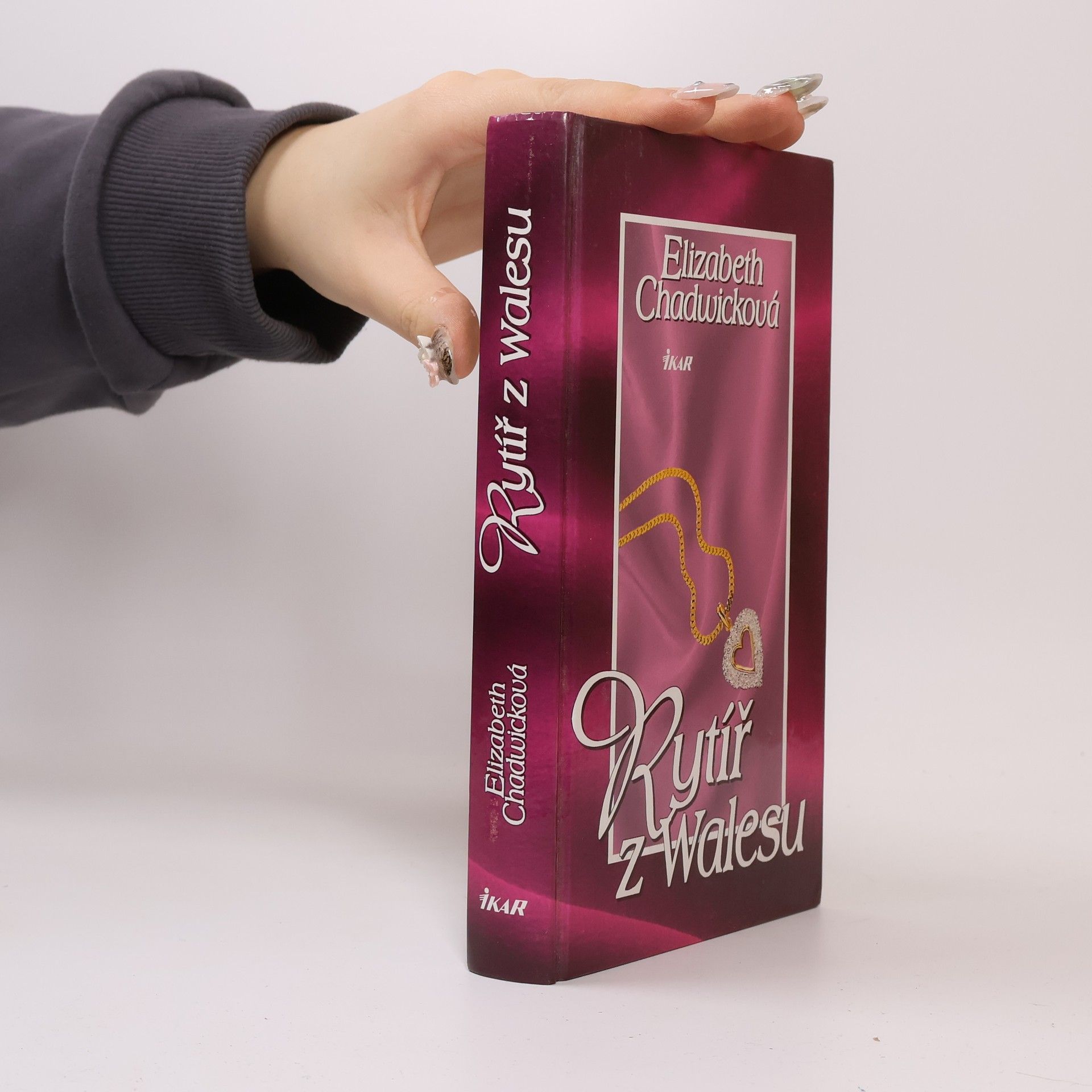 Elizabeth Chadwick Rytíř z Walesu