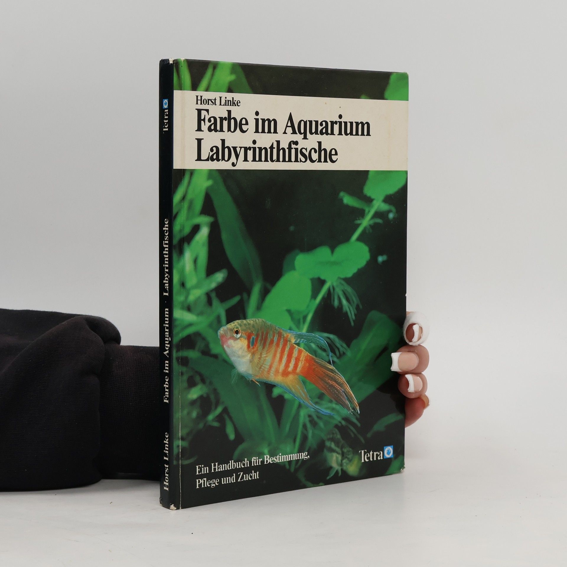 Horst Linke Farbe im Aquarium Labyrintfische