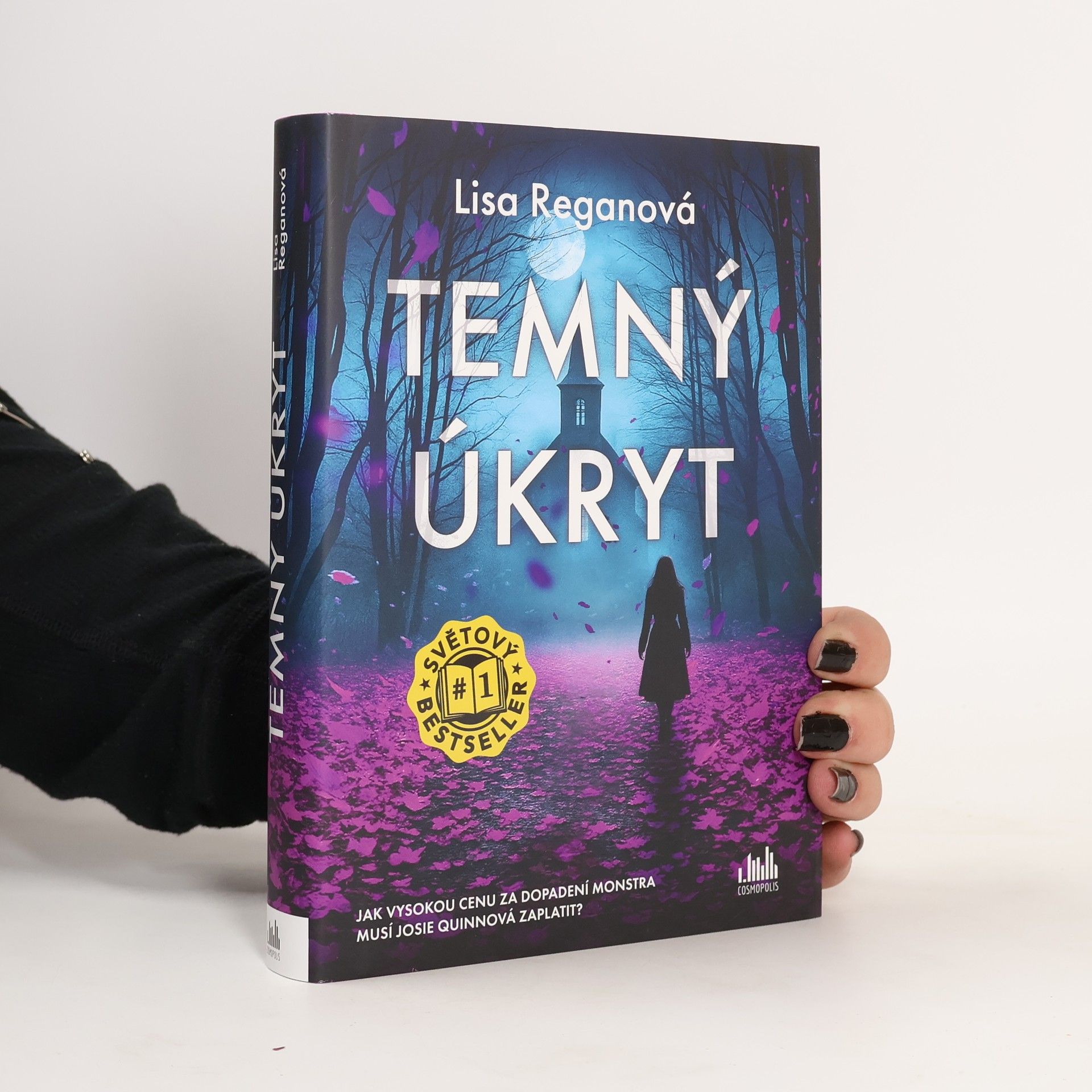 Lisa Regan Temný úkryt