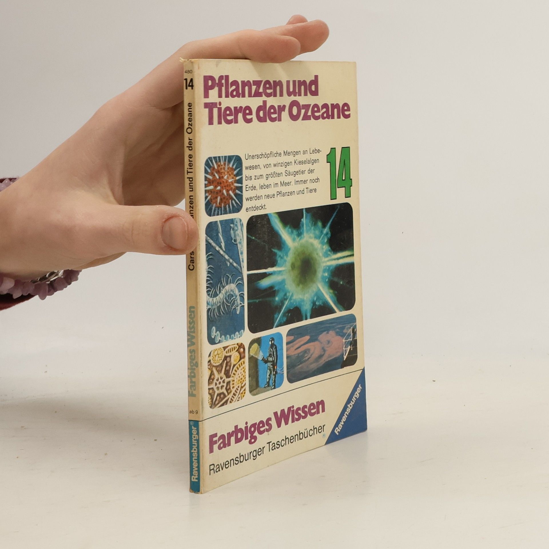 Farbiges Wissen - 14: Pflanzen und Tiere der Ozeane