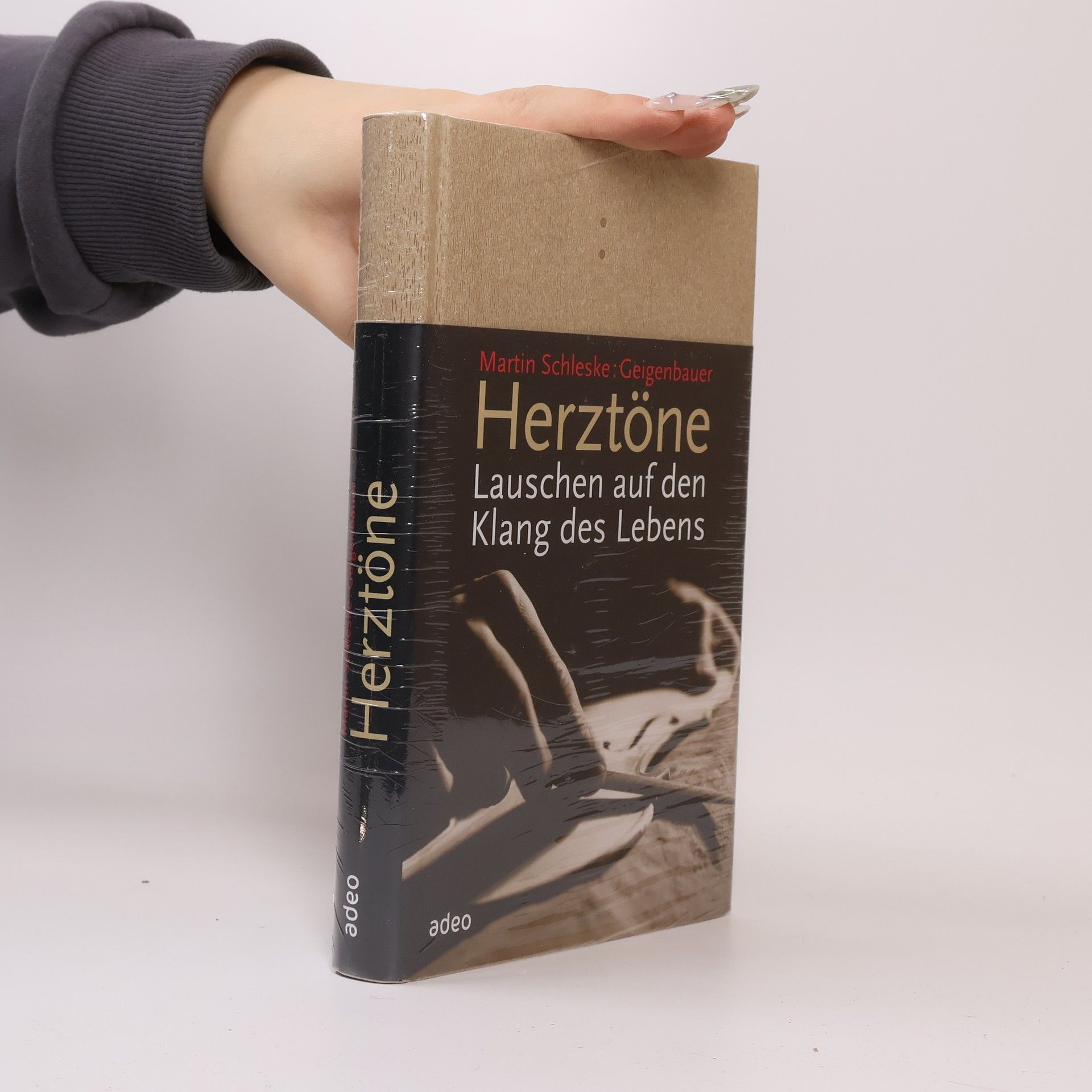 Martin Schleske Herztöne