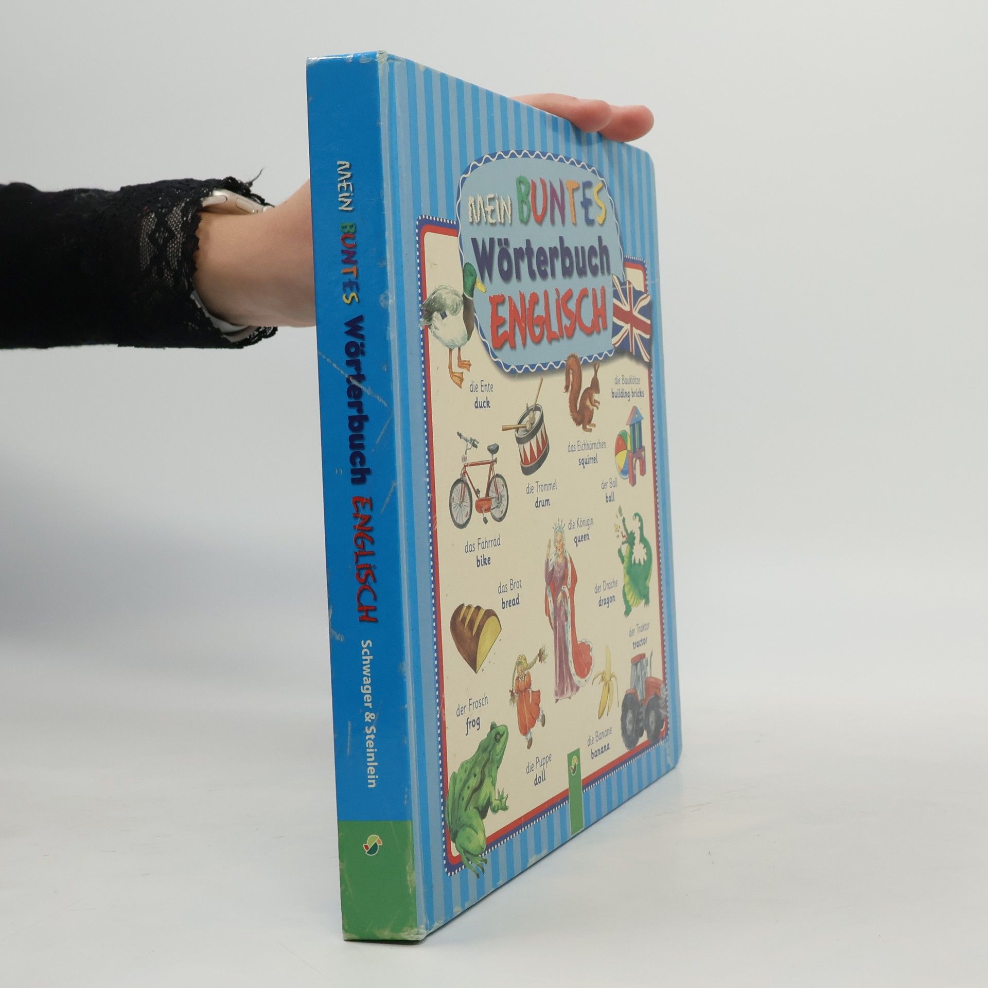 Mein buntes Wörterbuch Englisch