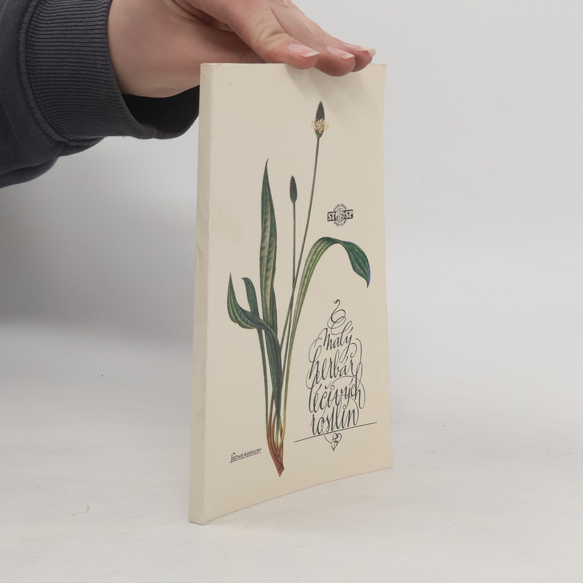 Ludmila Černá Malý herbář léčivých rostlin