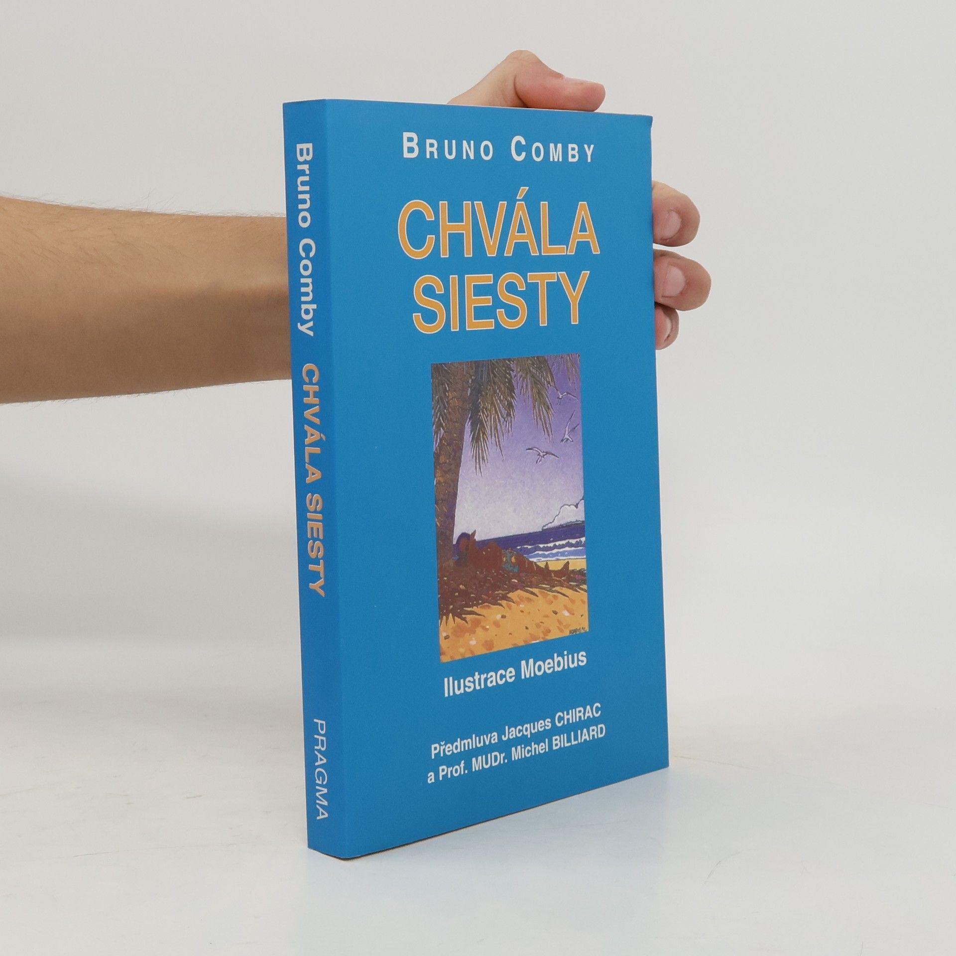 Bruno Comby Chvála siesty