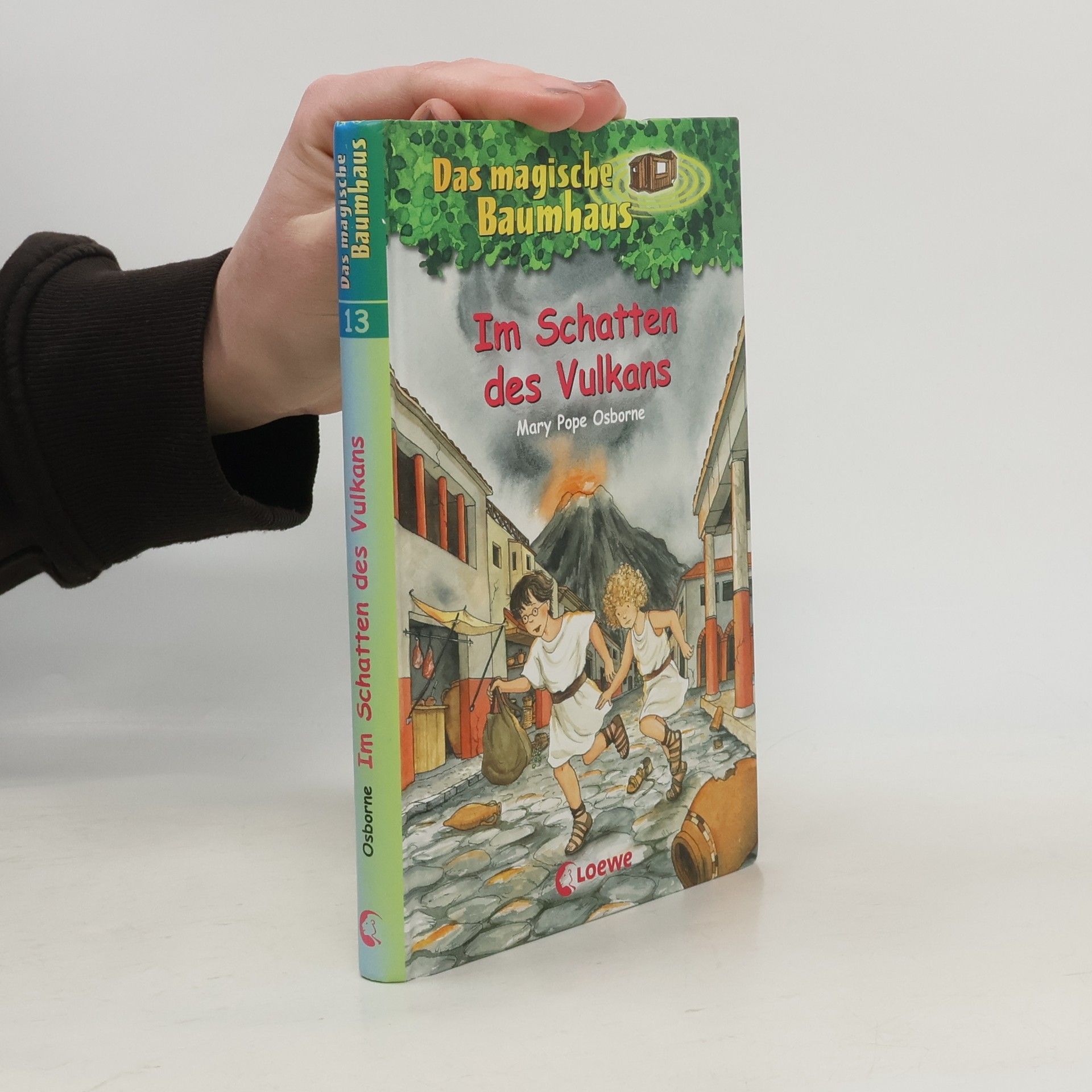 Sabine Rahn Im Schatten des Vulkans