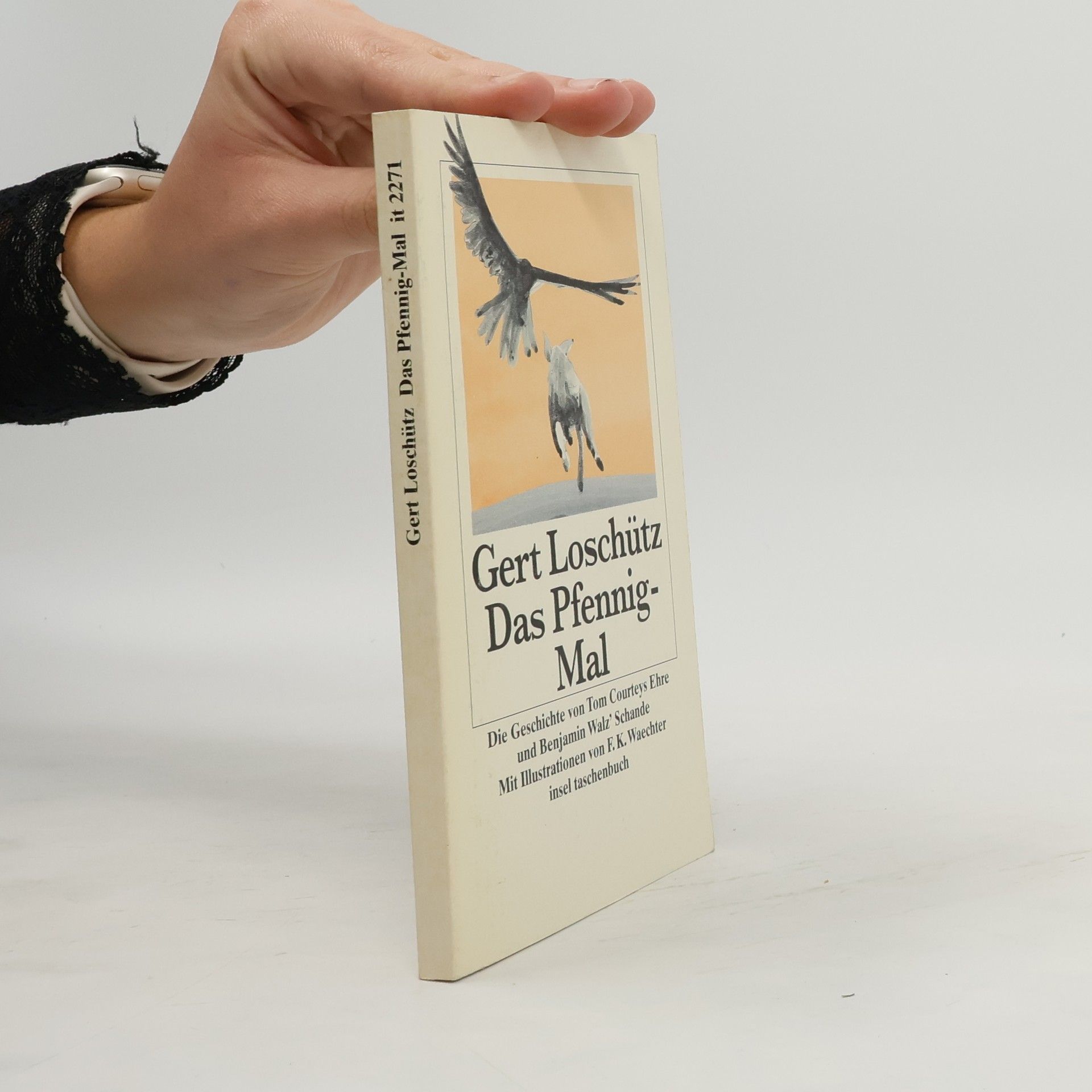 Das Pfennig-Mal. Die Geschichte von Tom Courteys Ehe und Benjamin Walz' Schande