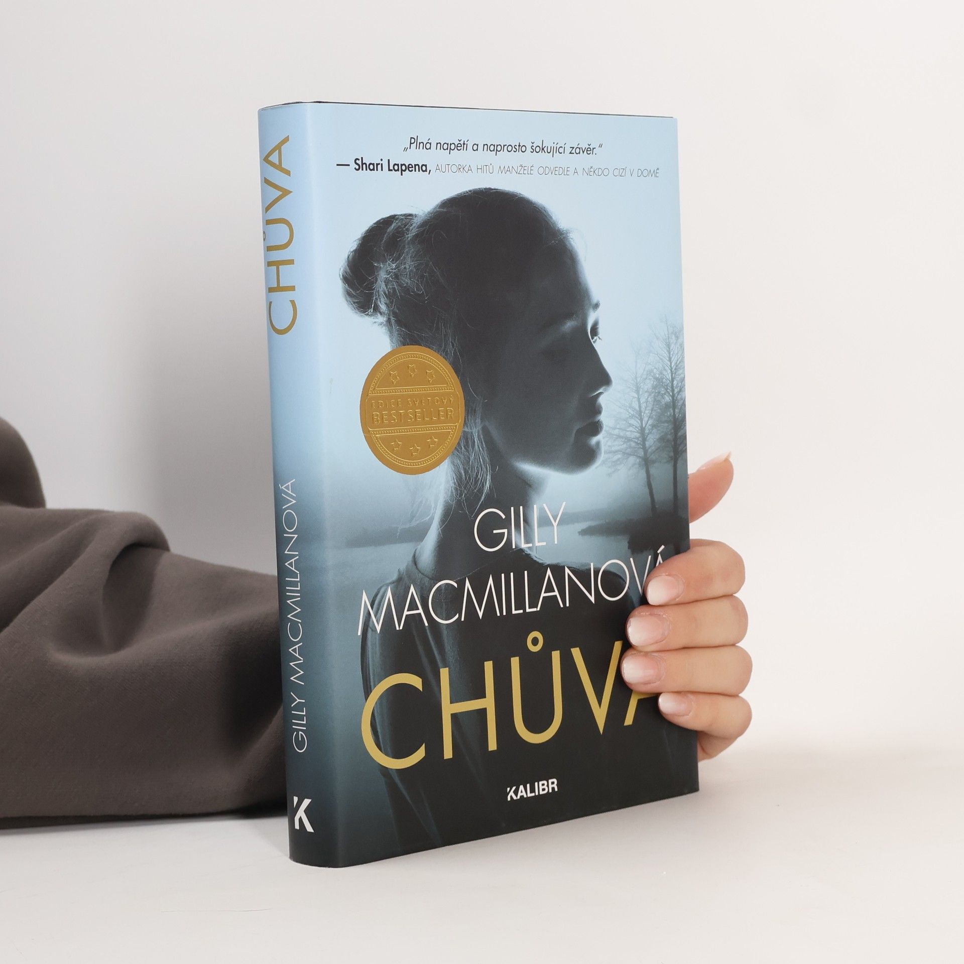 Gilly Macmillan Chůva