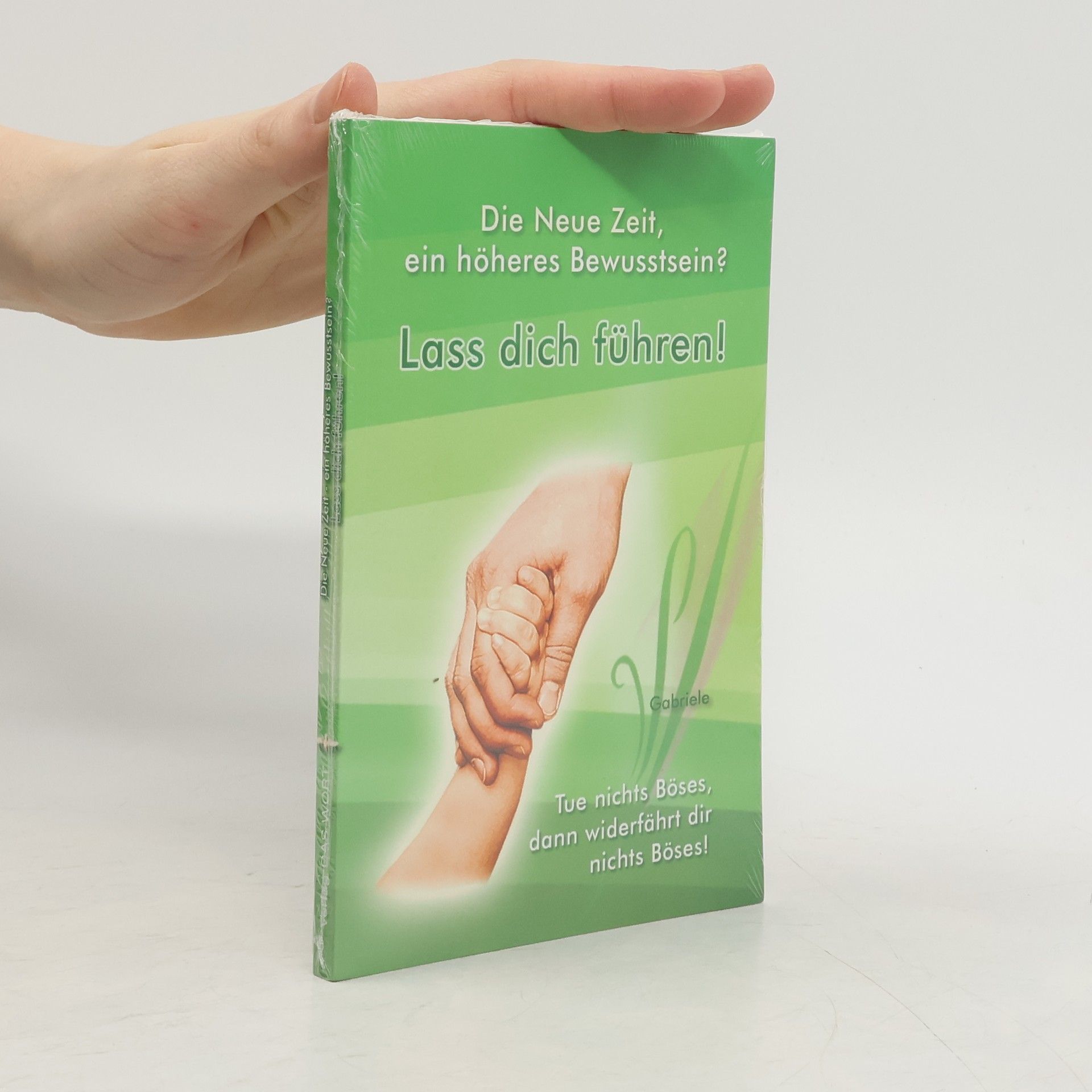 Gabriele Wittek Lass dich führen!