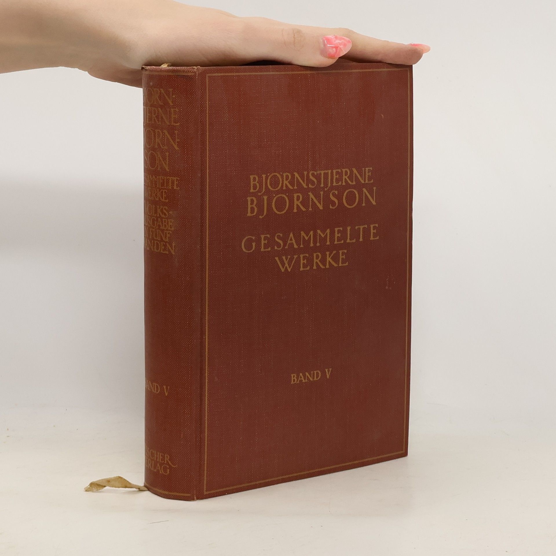 Bjørnstjerne Bjørnson Gesammelte Werke V.