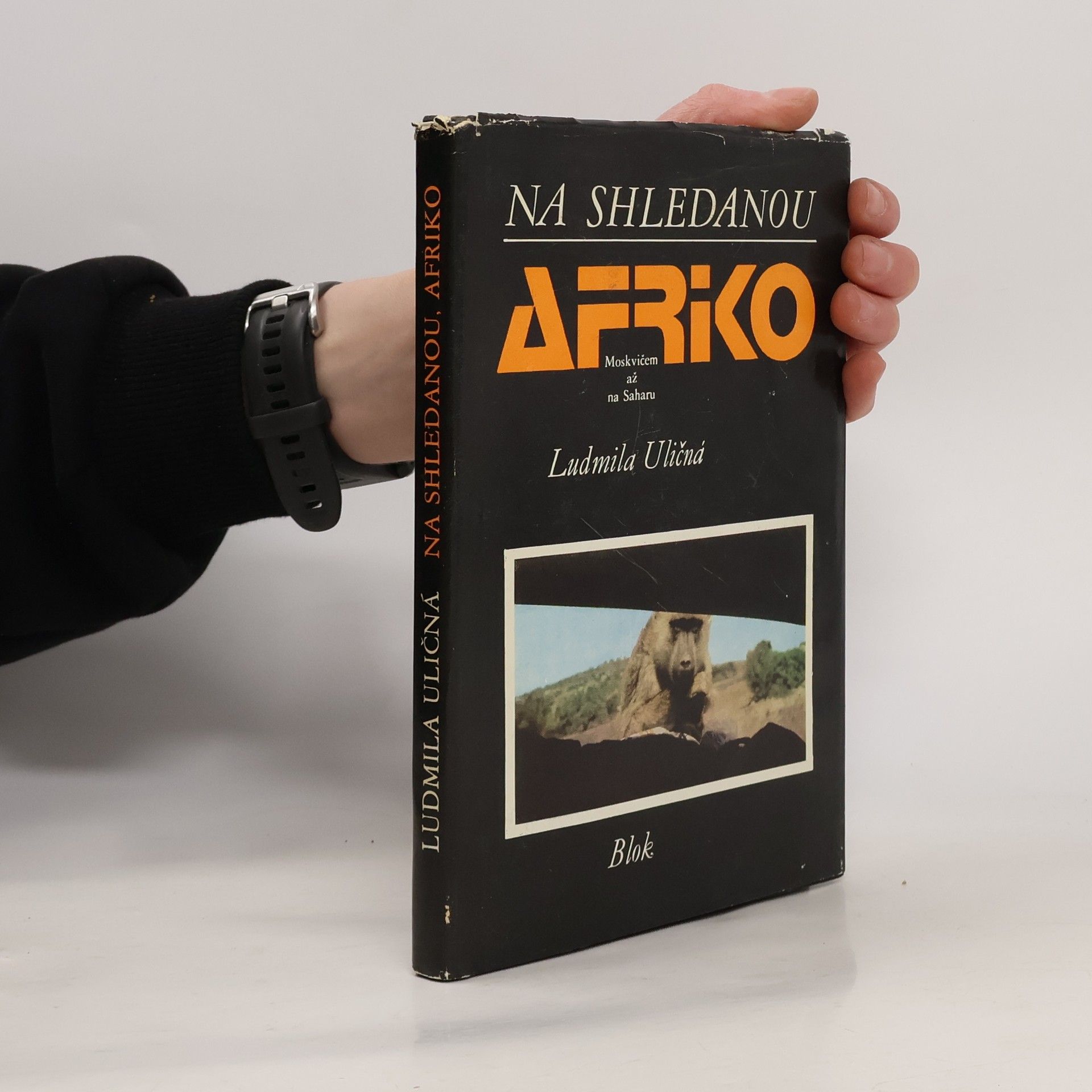 Na shledanou Afriko. Moskvičem až na Saharu