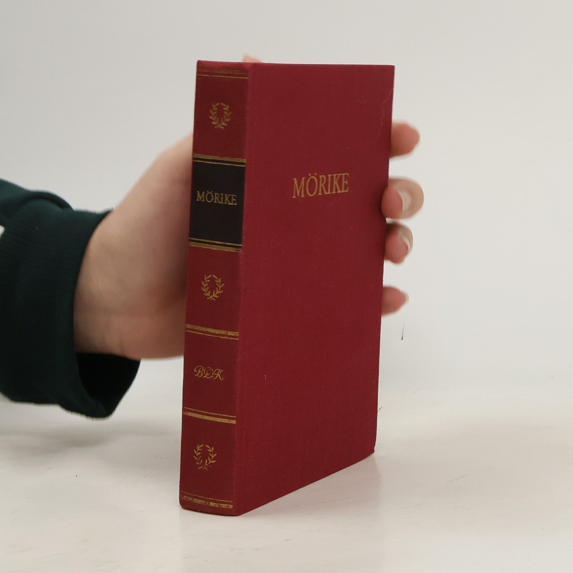 Kolektív autorov Mörike
