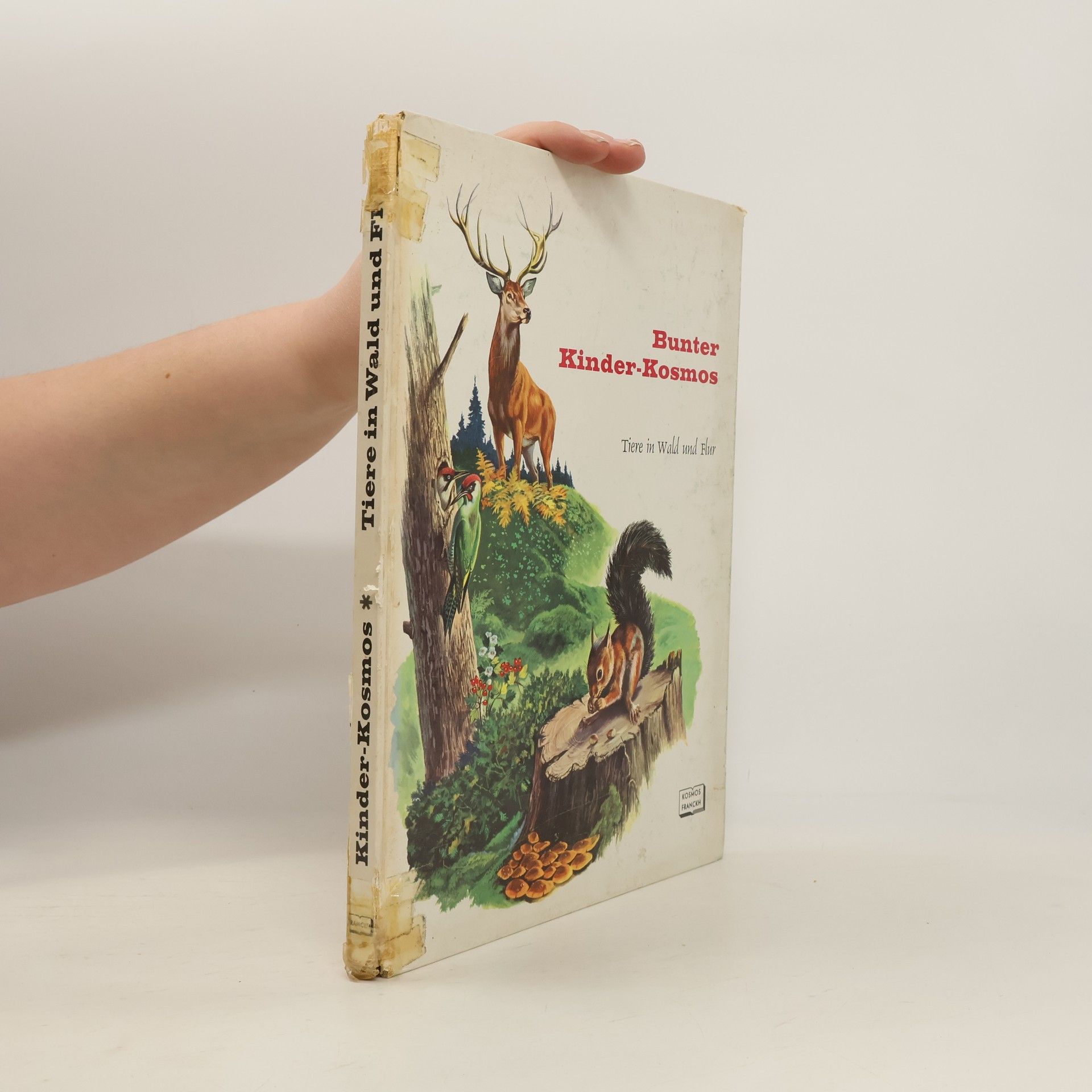 Autores varios Bunter Kinder-Kosmos