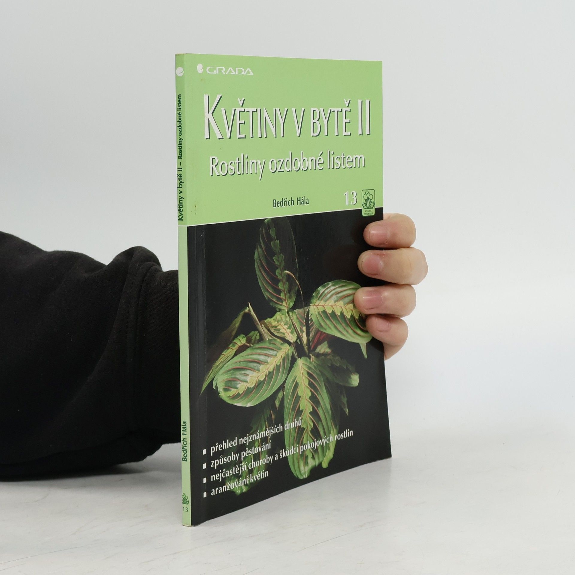 Bedřich Hála Květiny v bytě II - Rostliny ozdobné listem