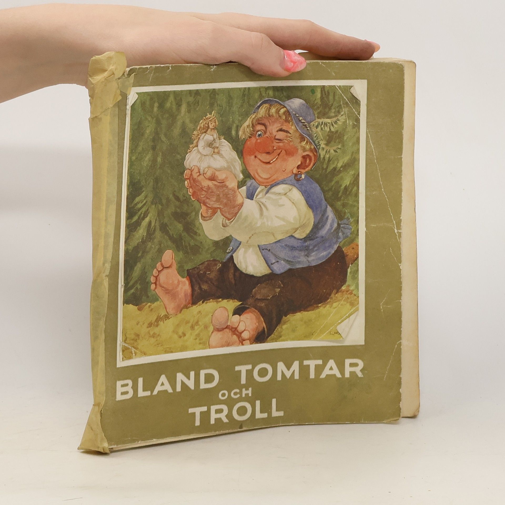 Kolektiv autorů Bland tomtar och troll