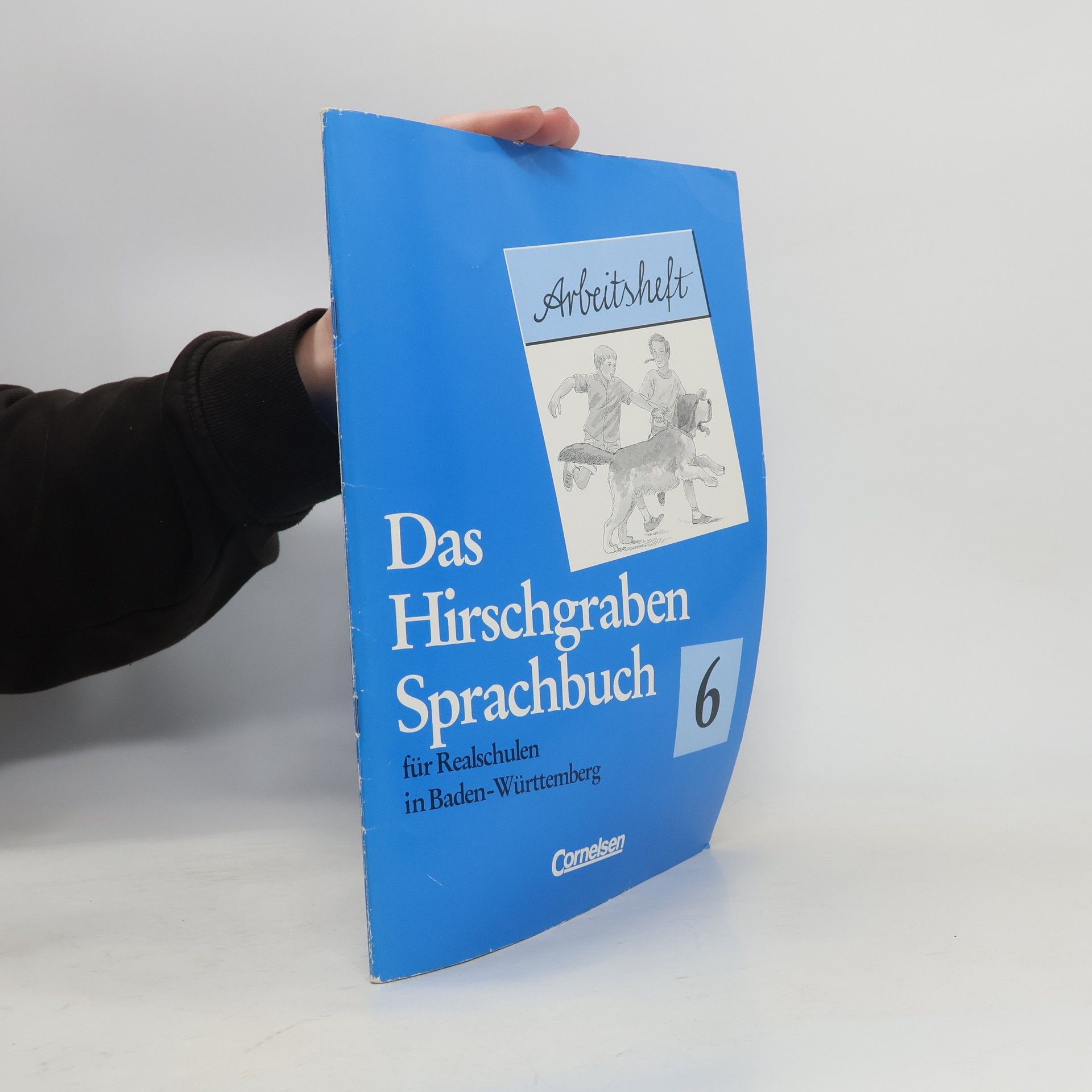 Autorenkollektiv Das Hirschgraben Sprachbuch für Realschulen in Baden Württemberg 6