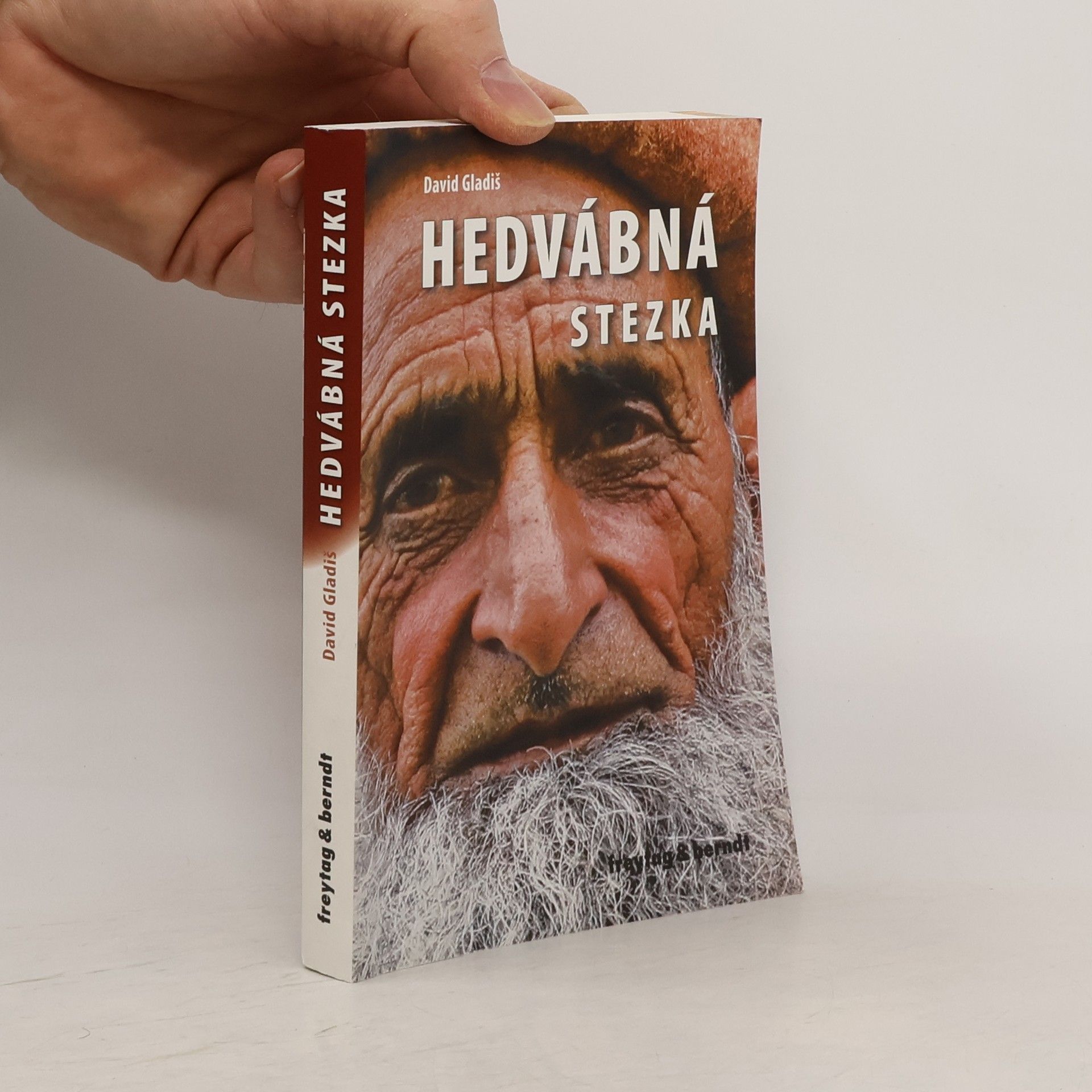 David Gladiš Hedvábná stezka