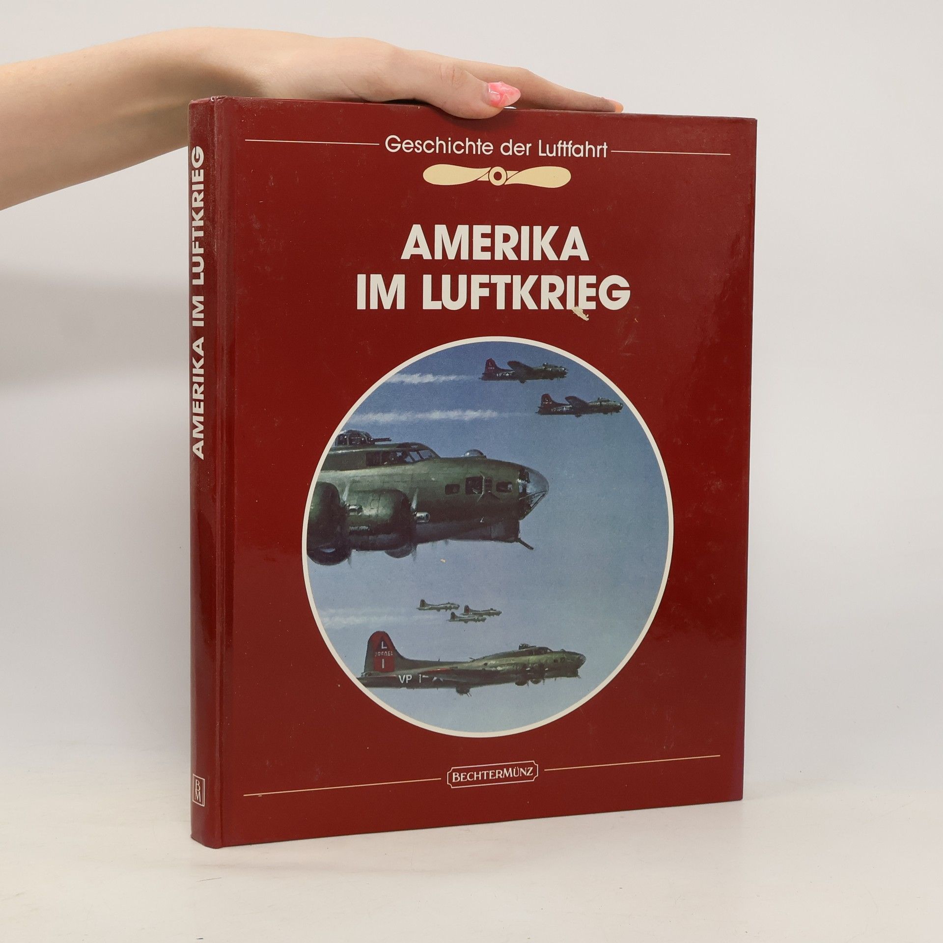 Dale M. Brown Amerika im Luftkrieg