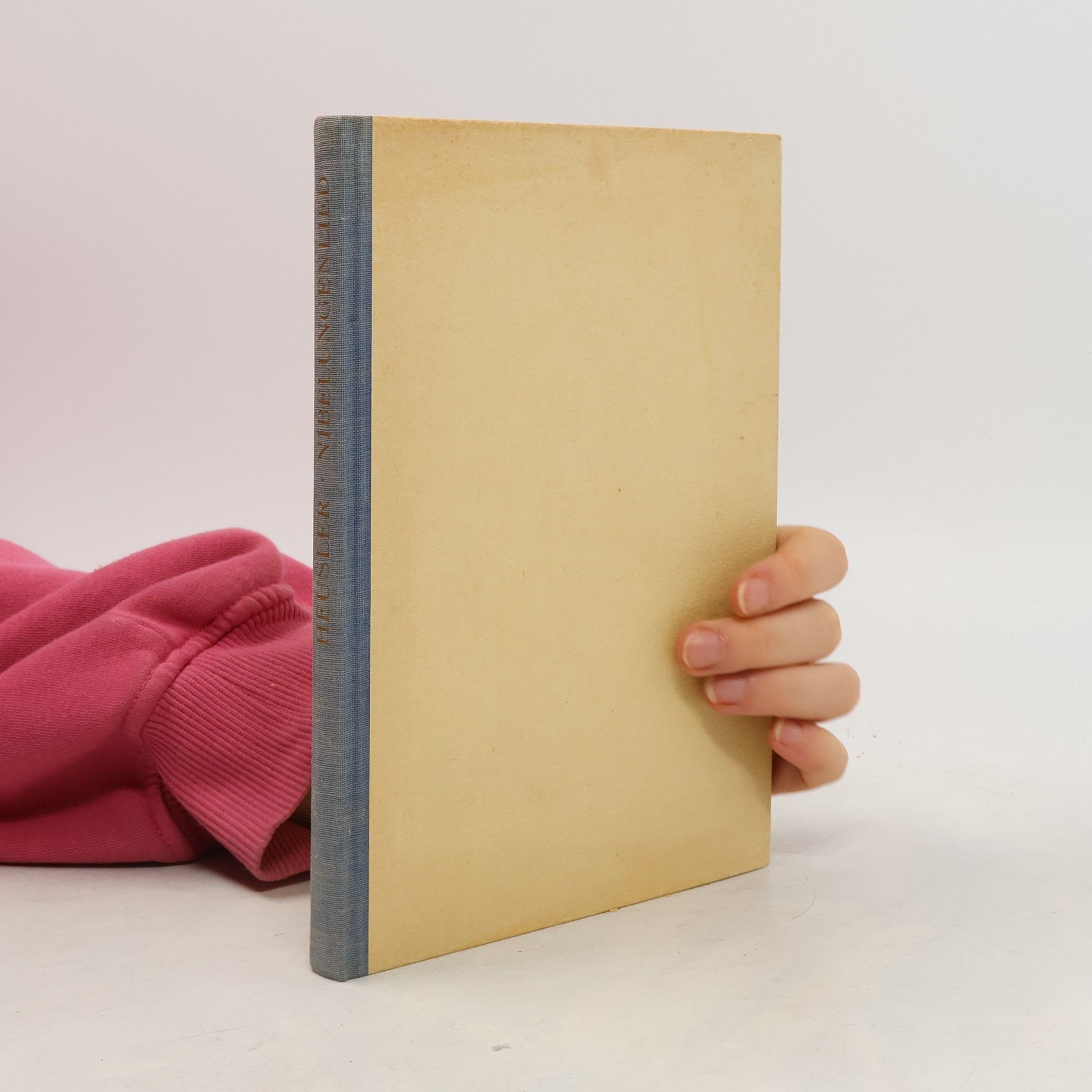 Nibelungensagen und Nibelungenlied