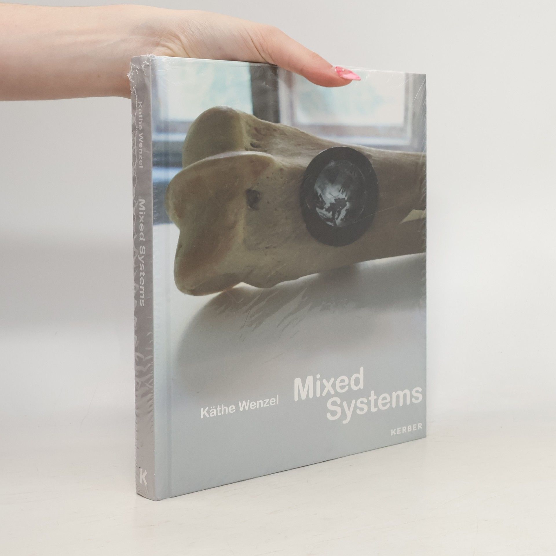 Käthe Wenzel Mixed Systems