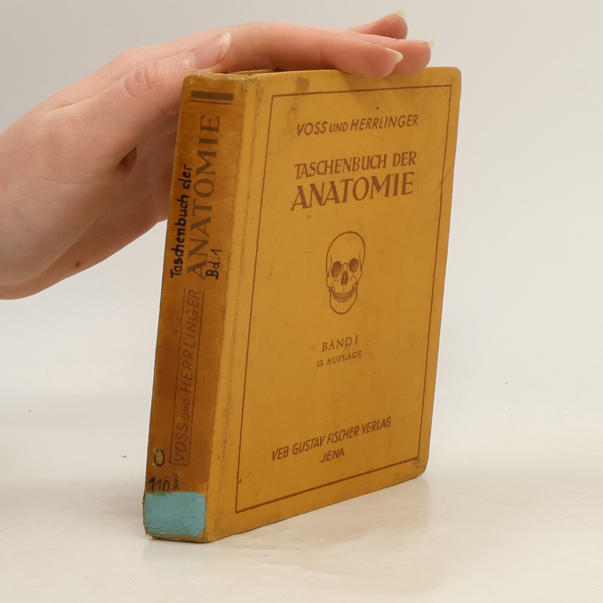 Hermann Voss Taschebuch der Anatomie