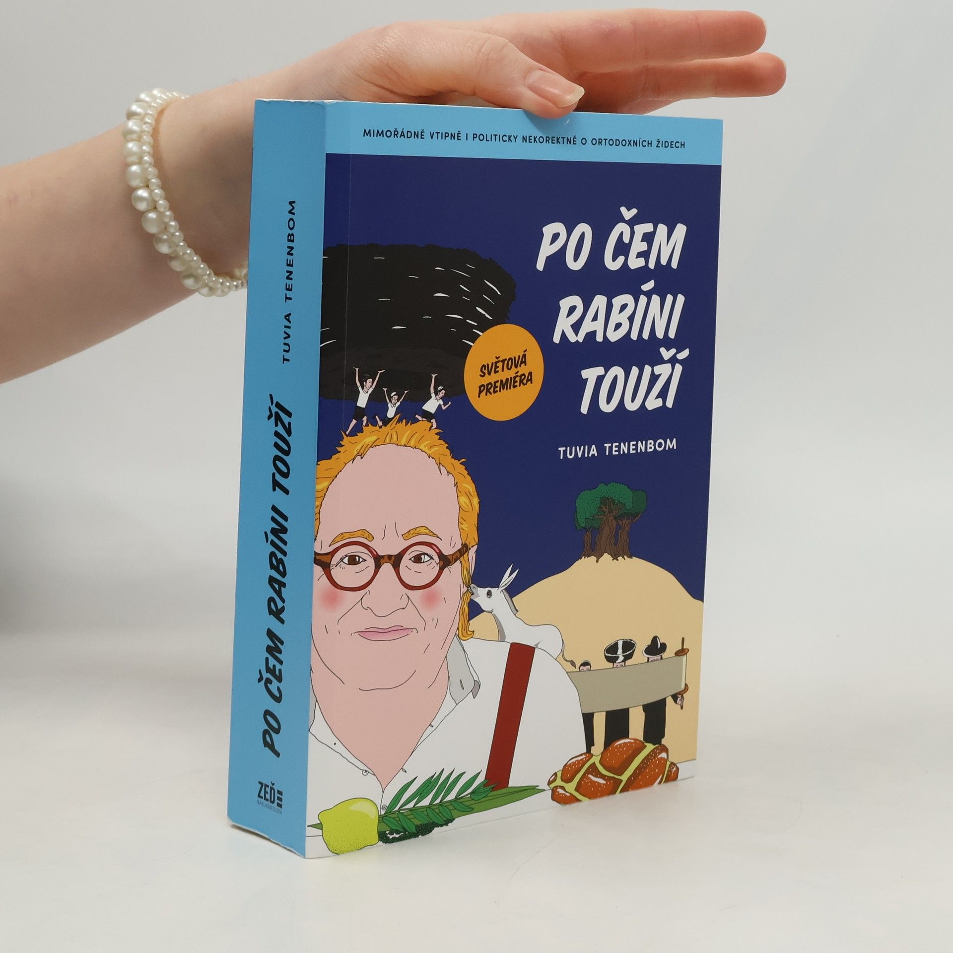 Tuvia Tenenbom Po čem rabíni touží : mimořádně vtipná i politicky nekorektní zpráva o ortodoxních Židech