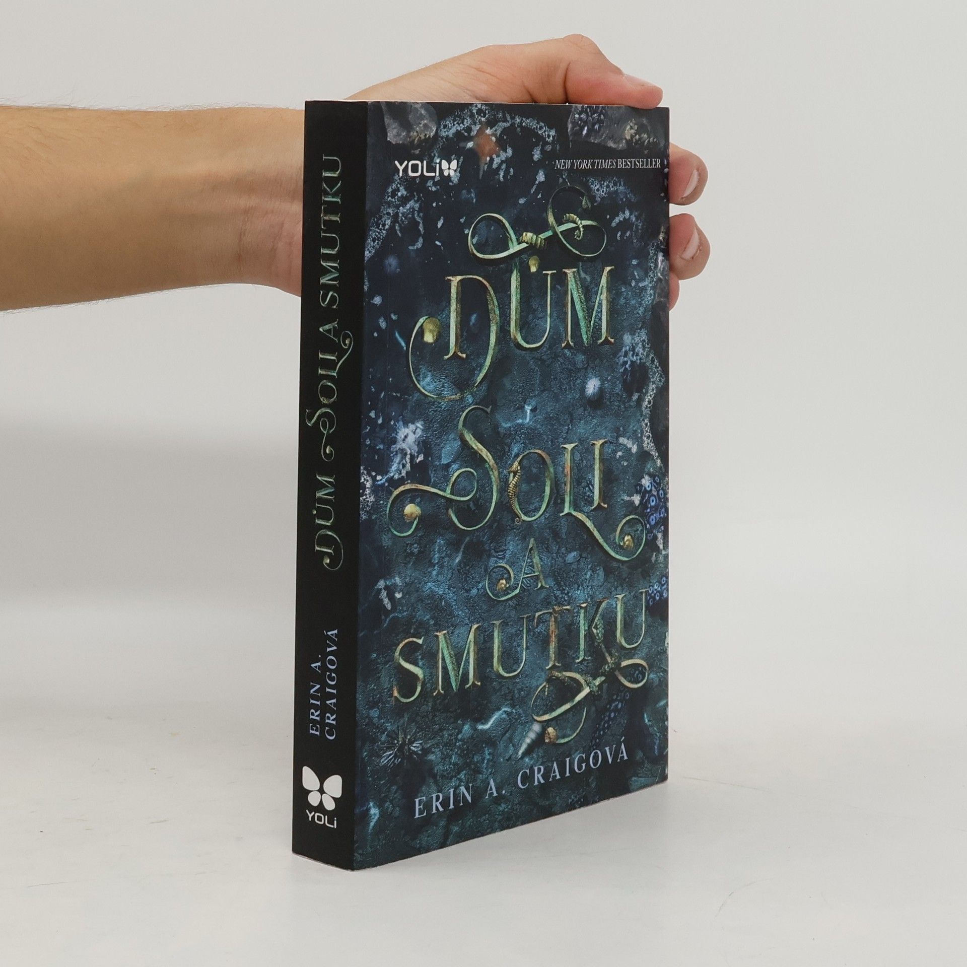 Erin A. Craig Dům soli a smutku