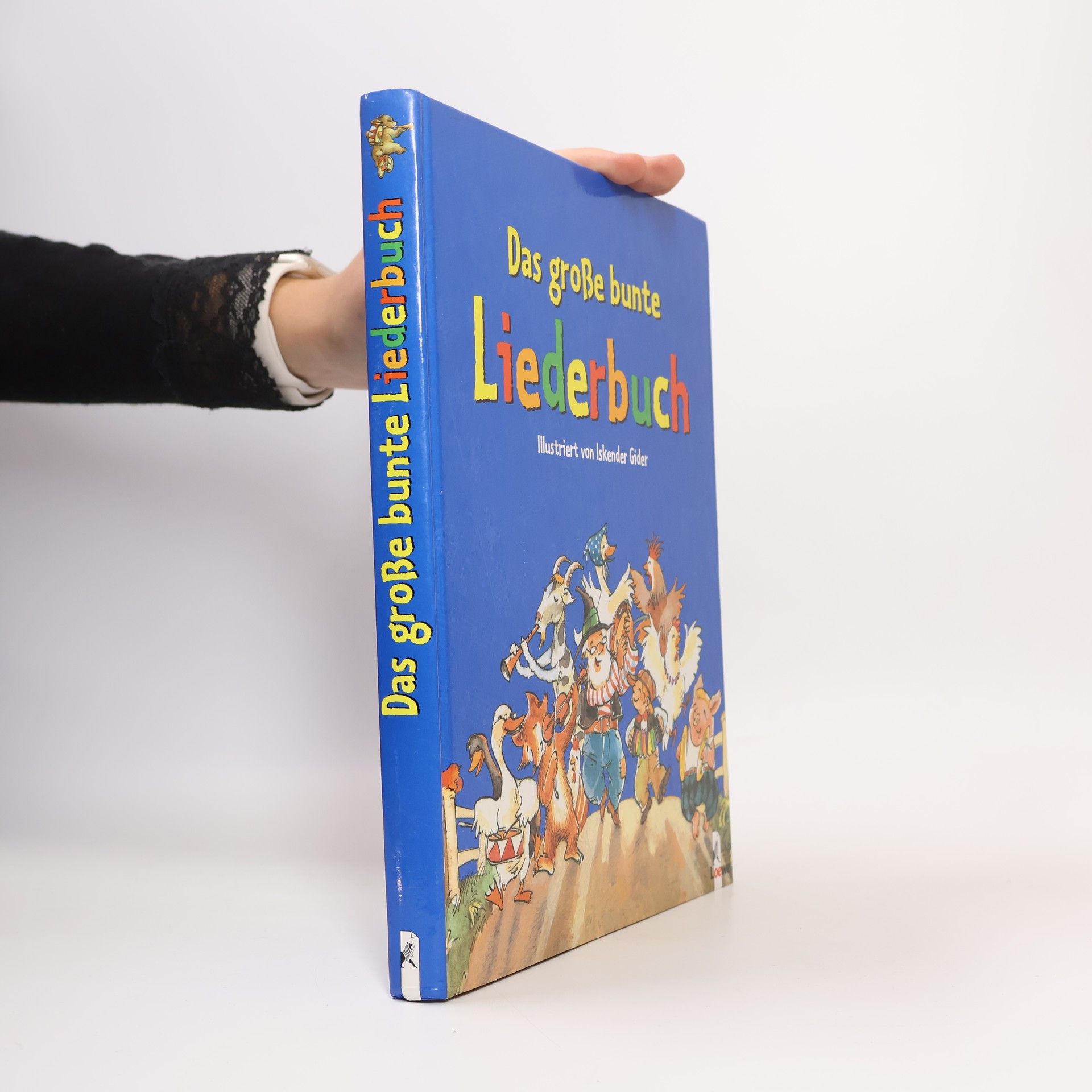 Autorenkollektiv Das große bunte Liederbuch